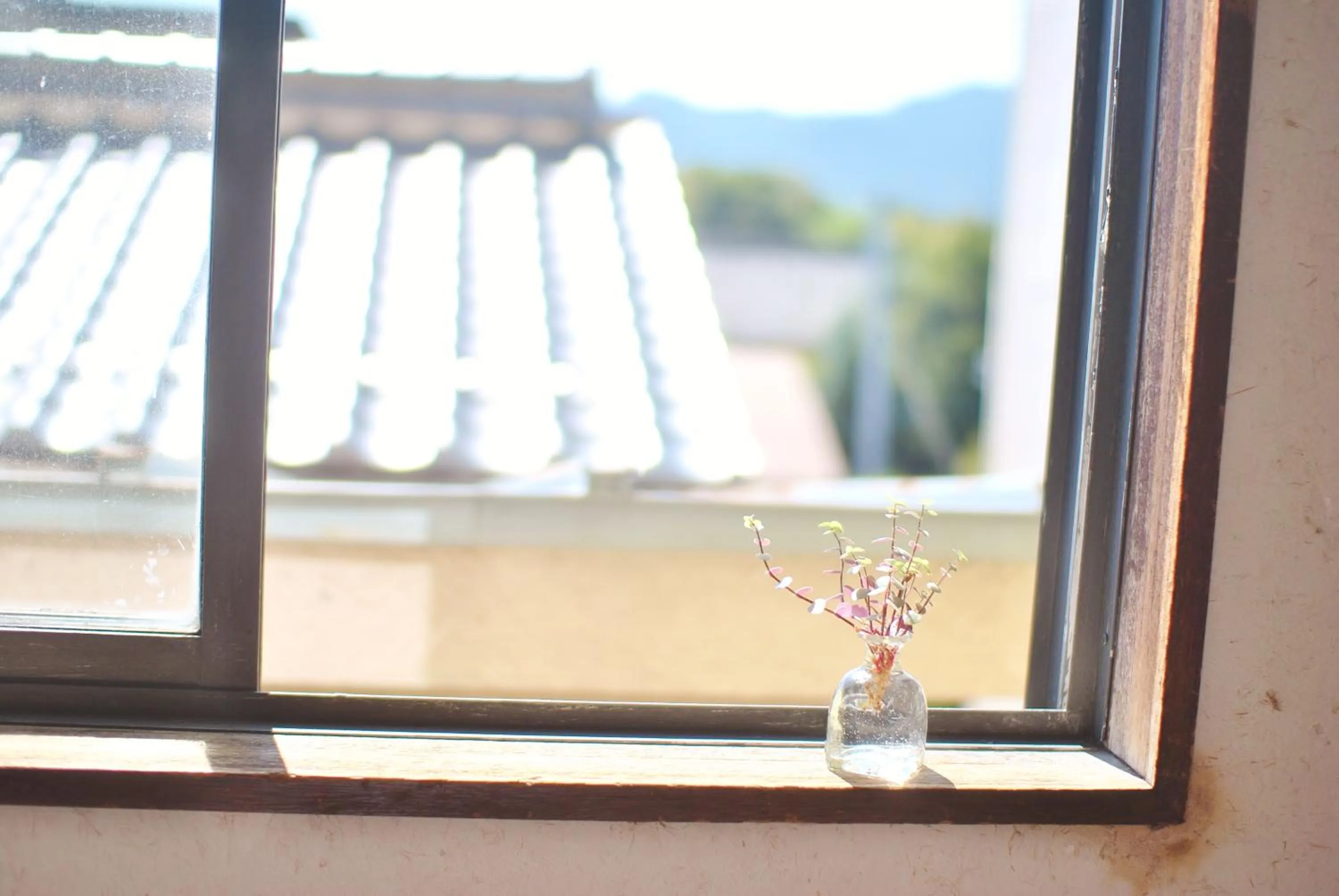 Decorative detail in Ruco