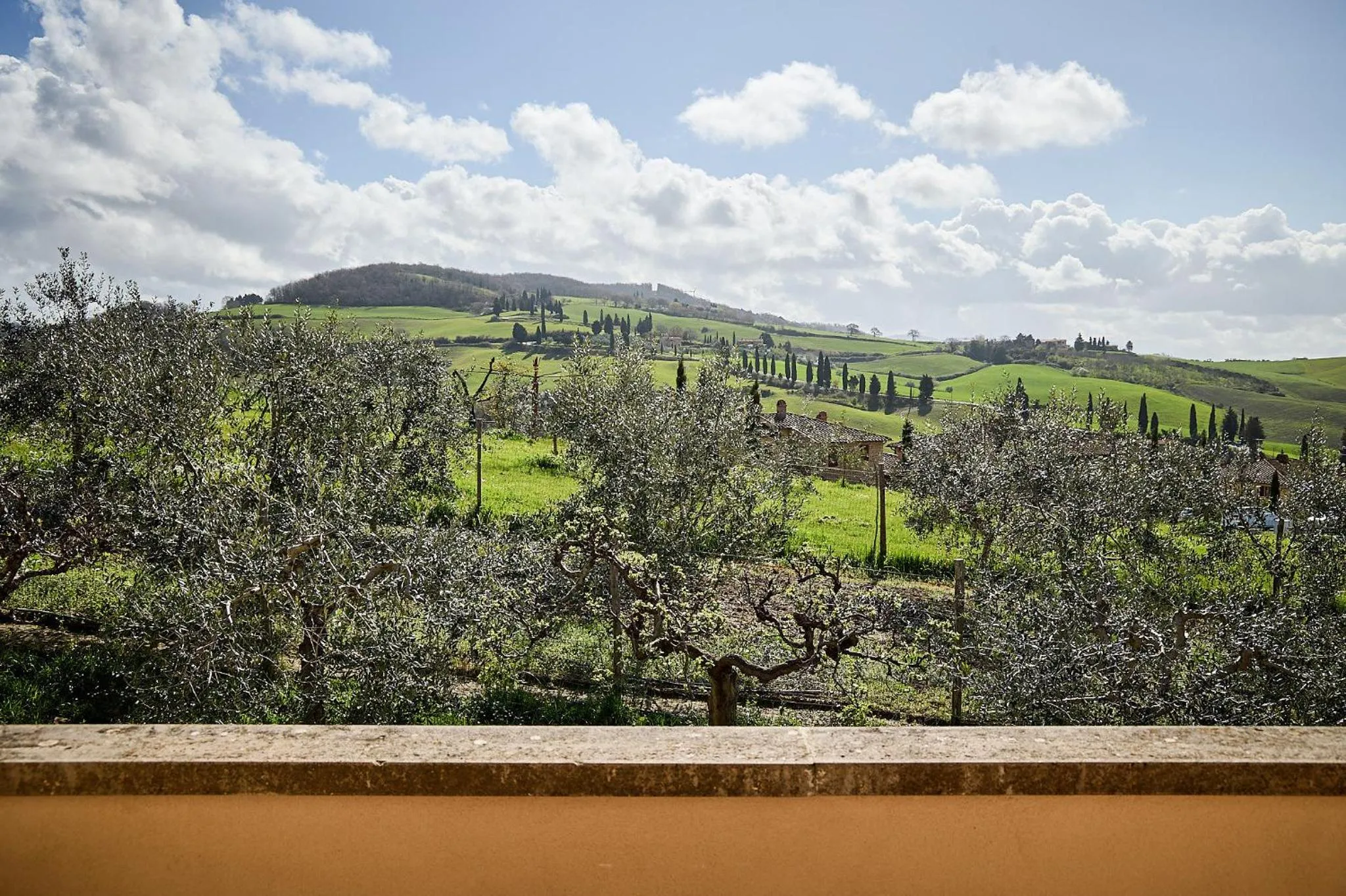 Villa PoliFlora