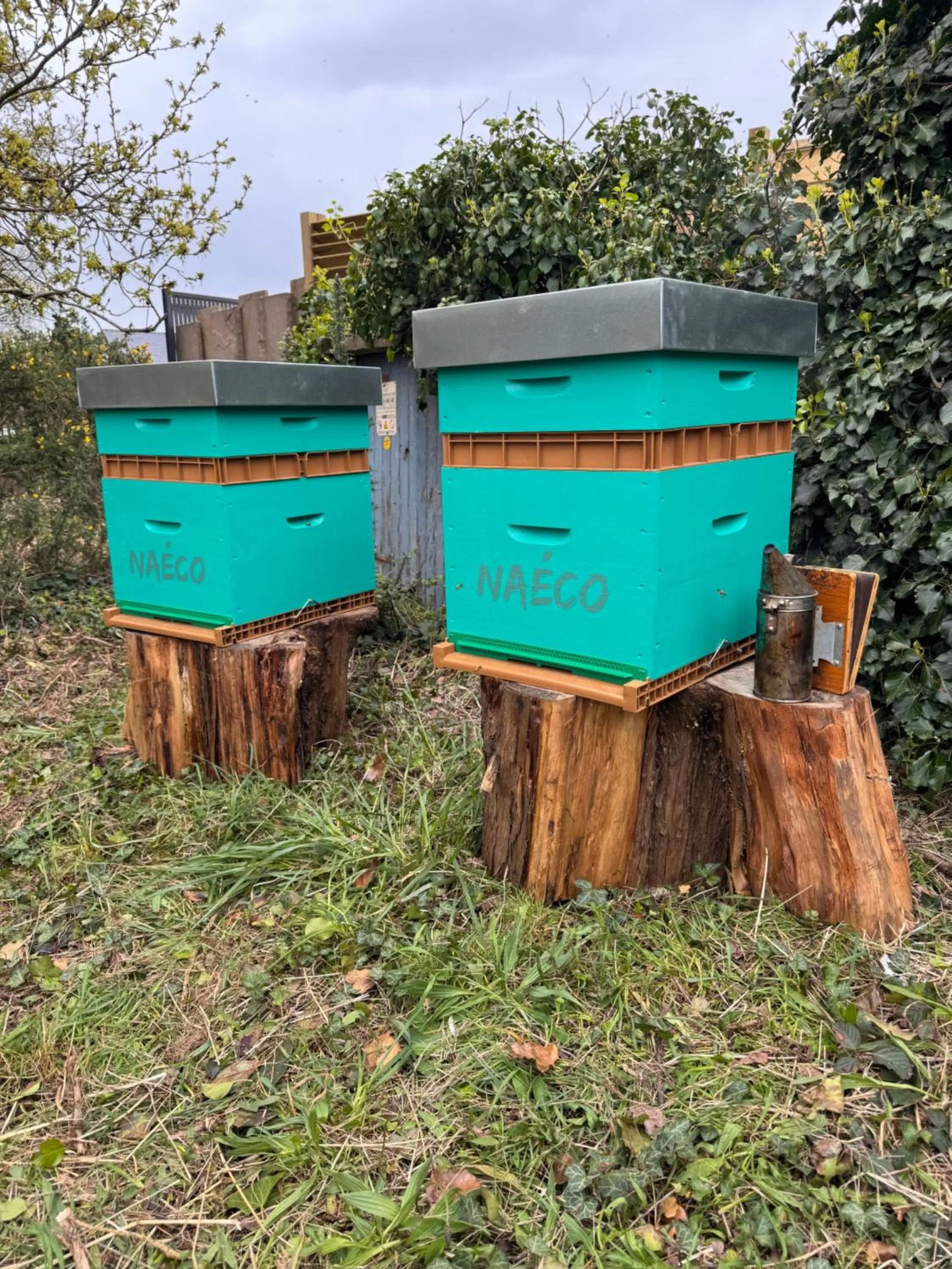 Garden in Naéco Erdeven