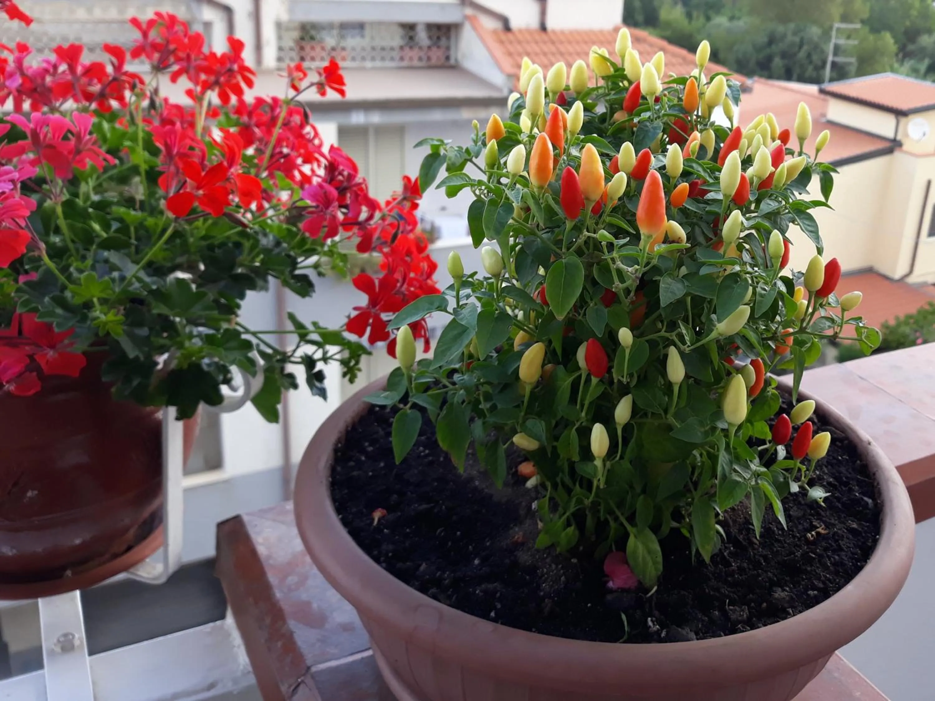 Bed & Breakfast Elisabeth