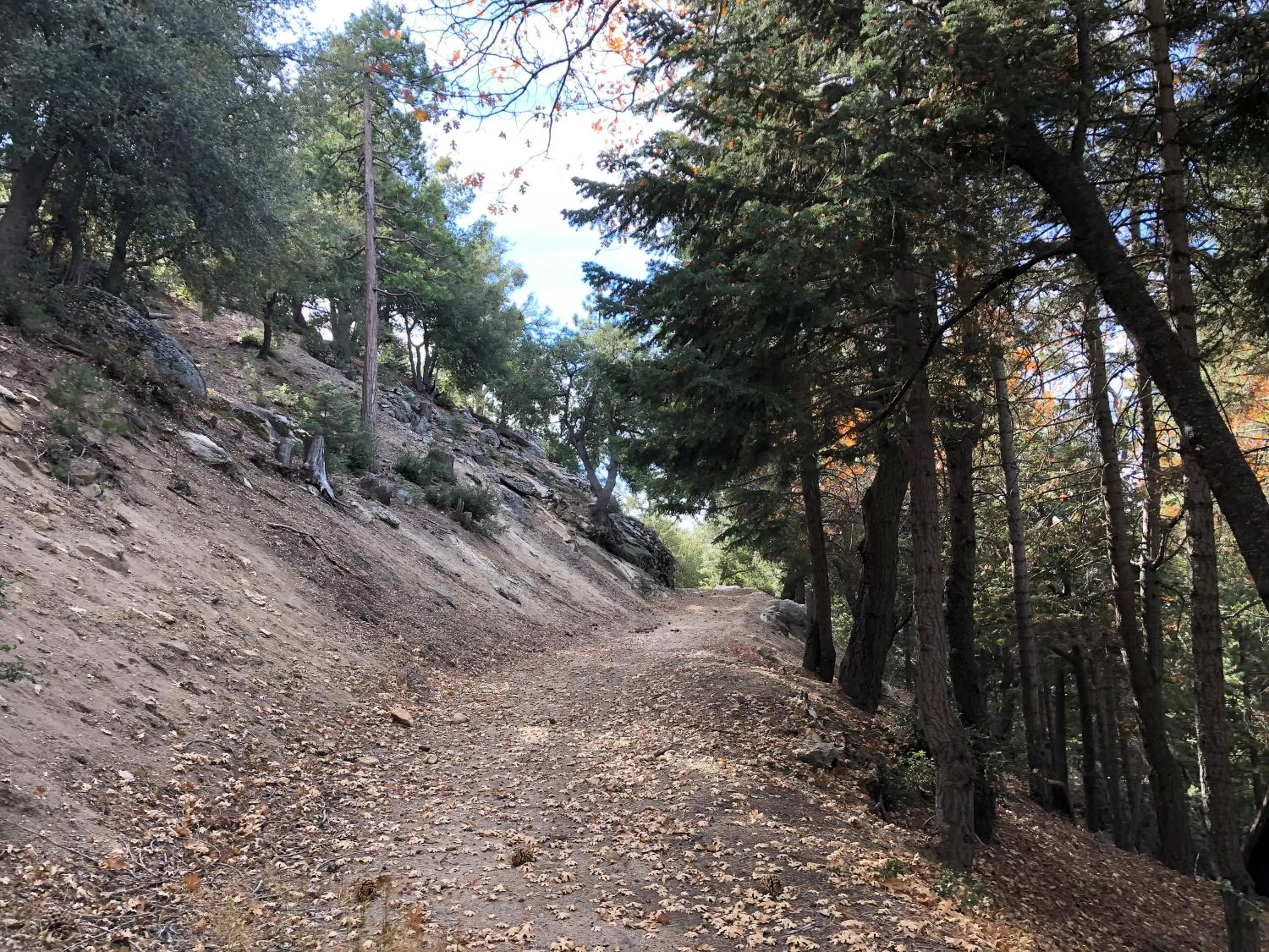 Hiking in Alhatti Christian Resort