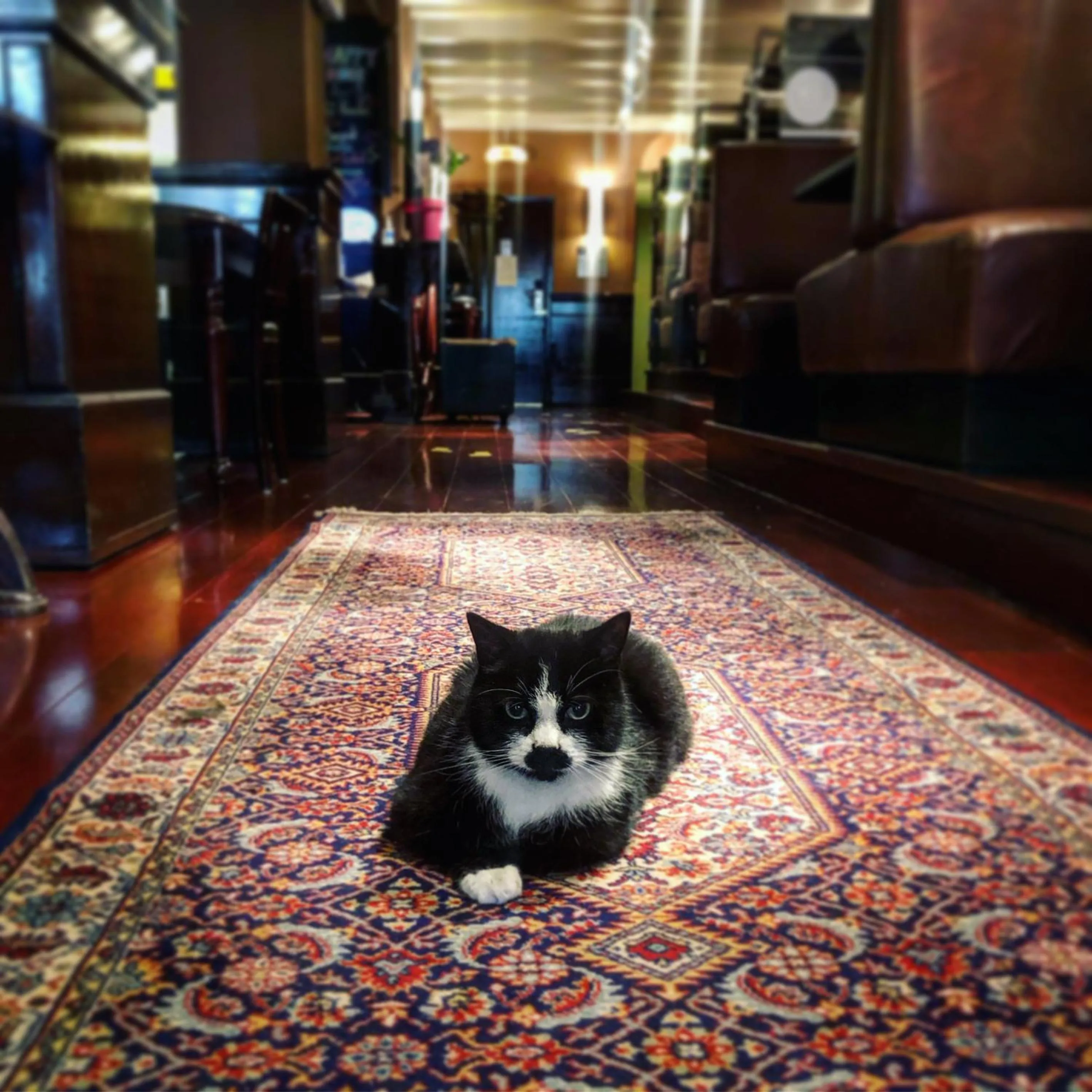 Restaurant/places to eat in Hotel Old Quarter