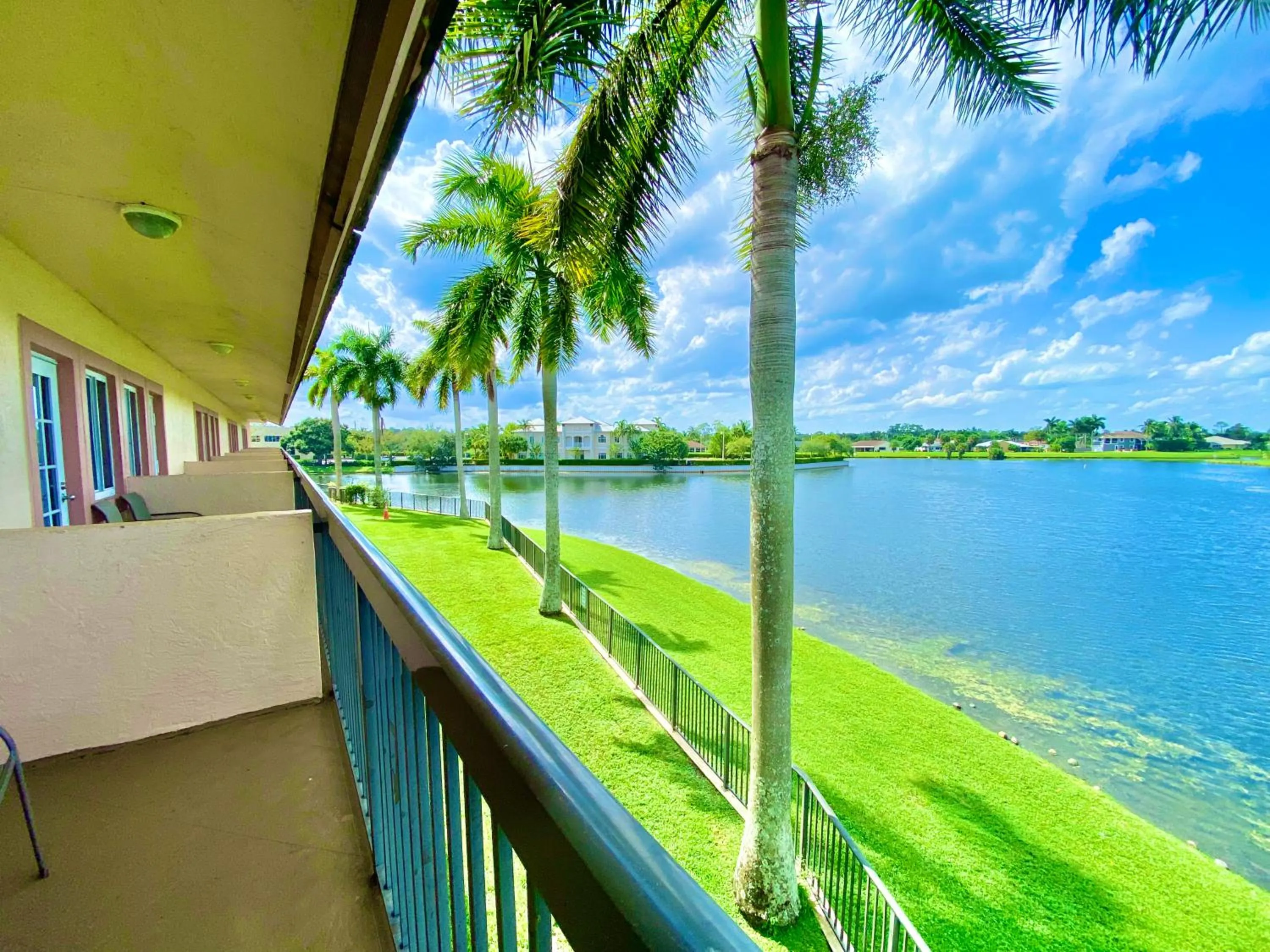 View (from property/room) in Royal Inn Hotel