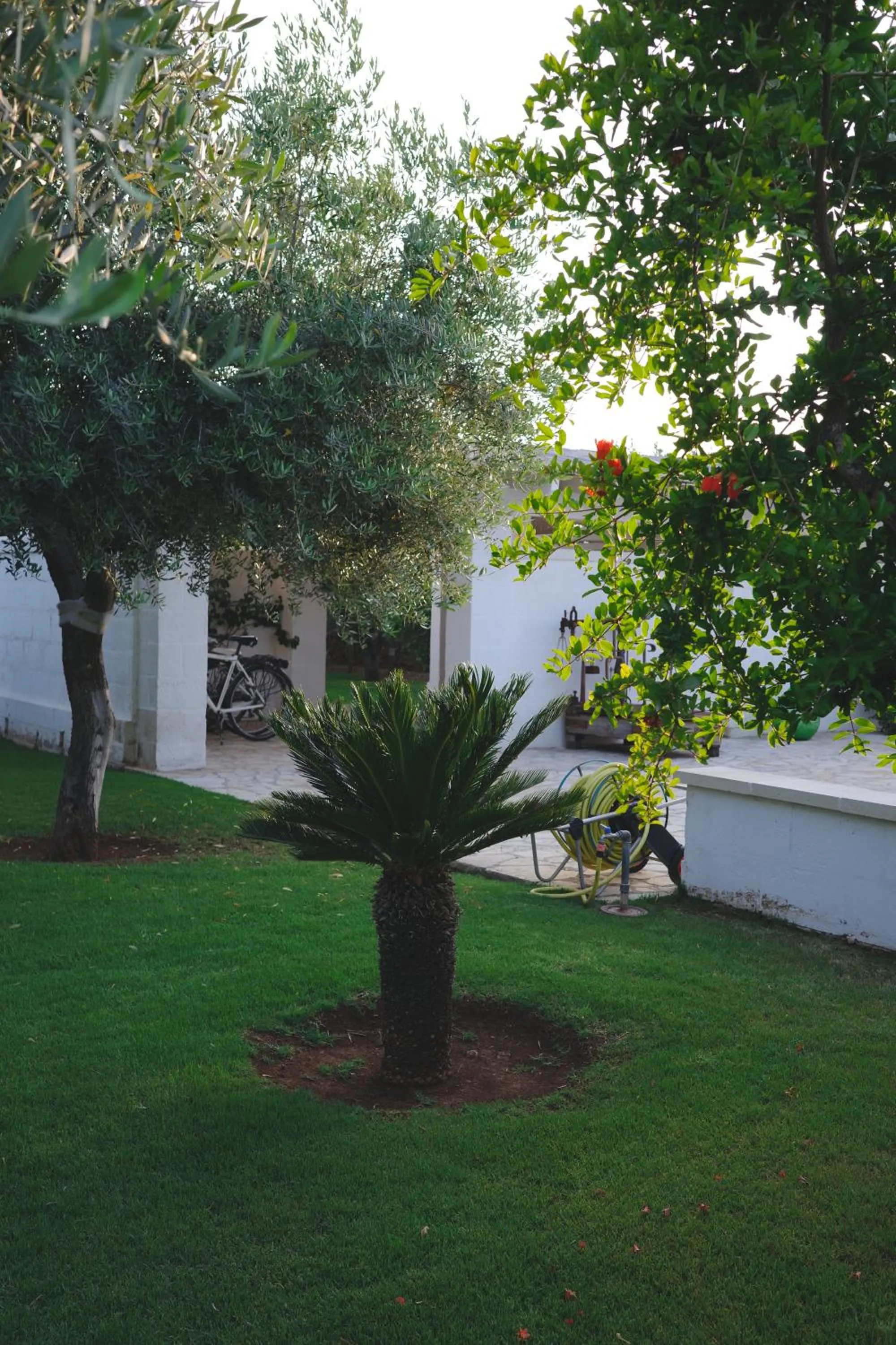 Garden in L'Ulivo Bed and Breakfast