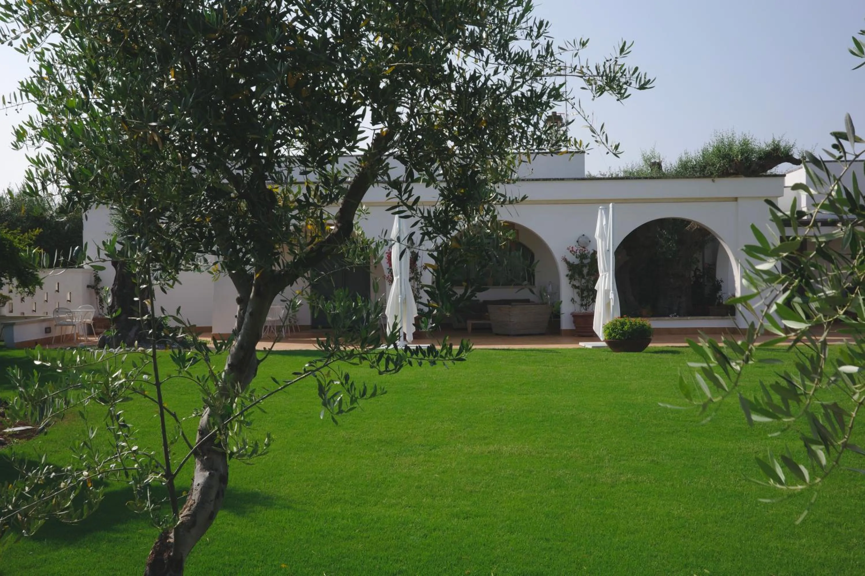 Garden in L'Ulivo Bed and Breakfast