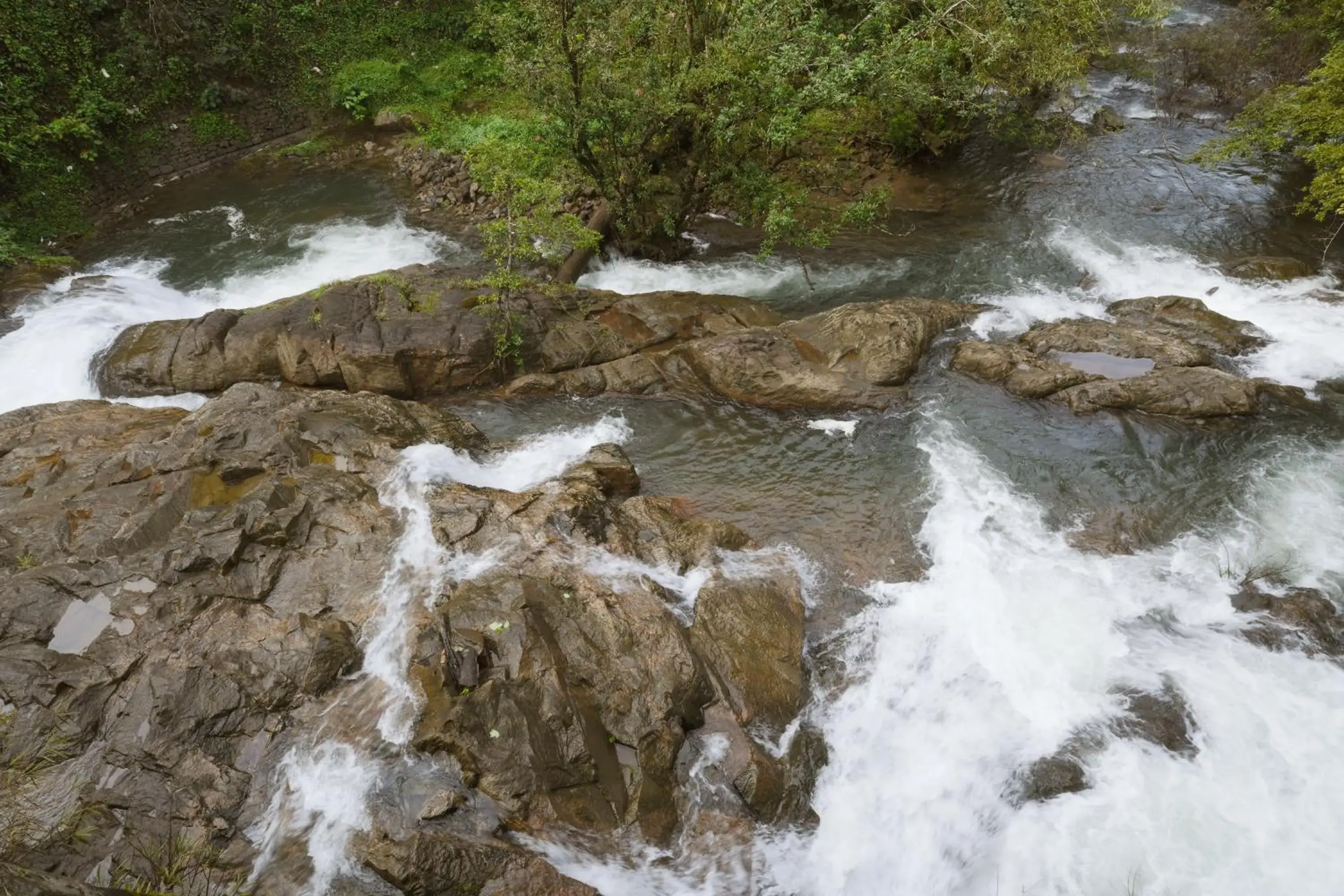 River view in Bluemist Resorts River view in Bluemist Resorts
