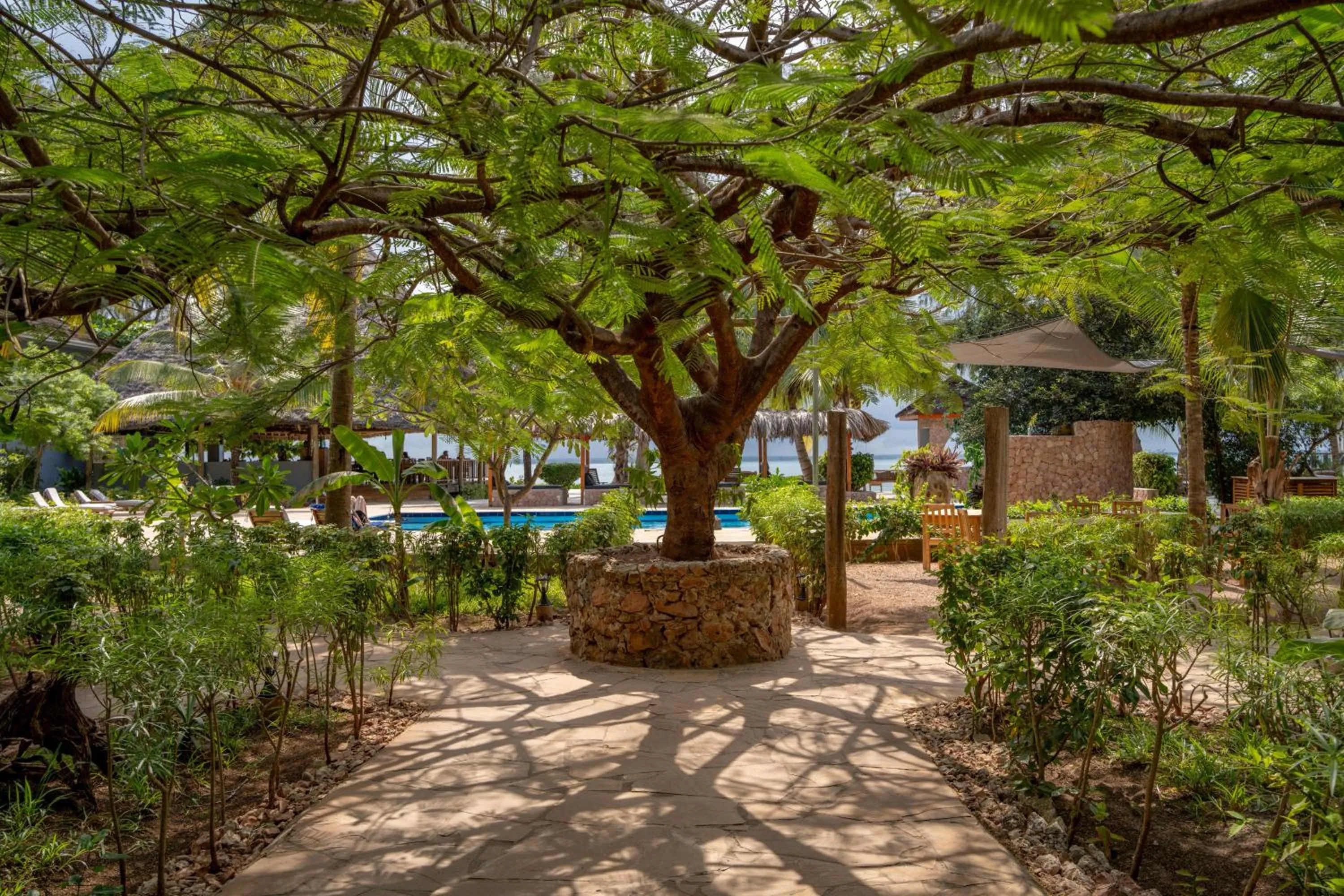 Natural landscape in Michamvi Sunset Bay