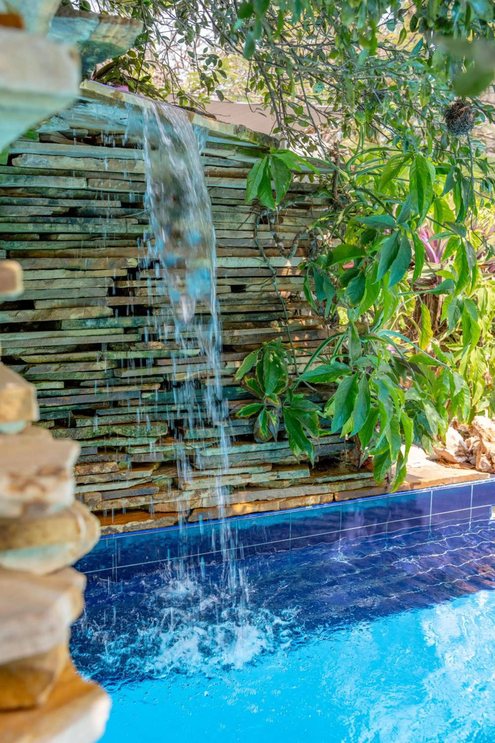 Natural landscape in Michamvi Sunset Bay