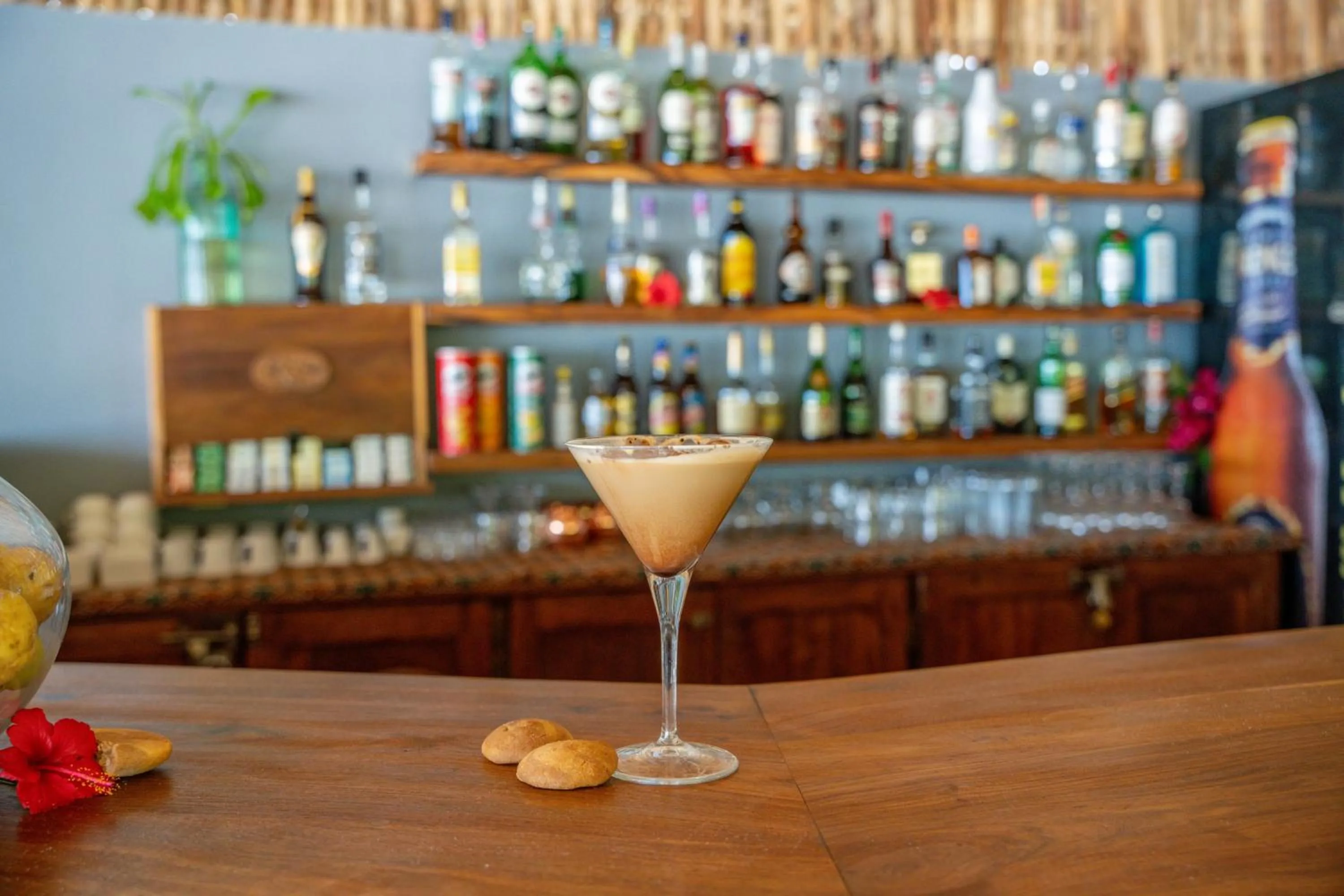 Lounge or bar in Michamvi Sunset Bay