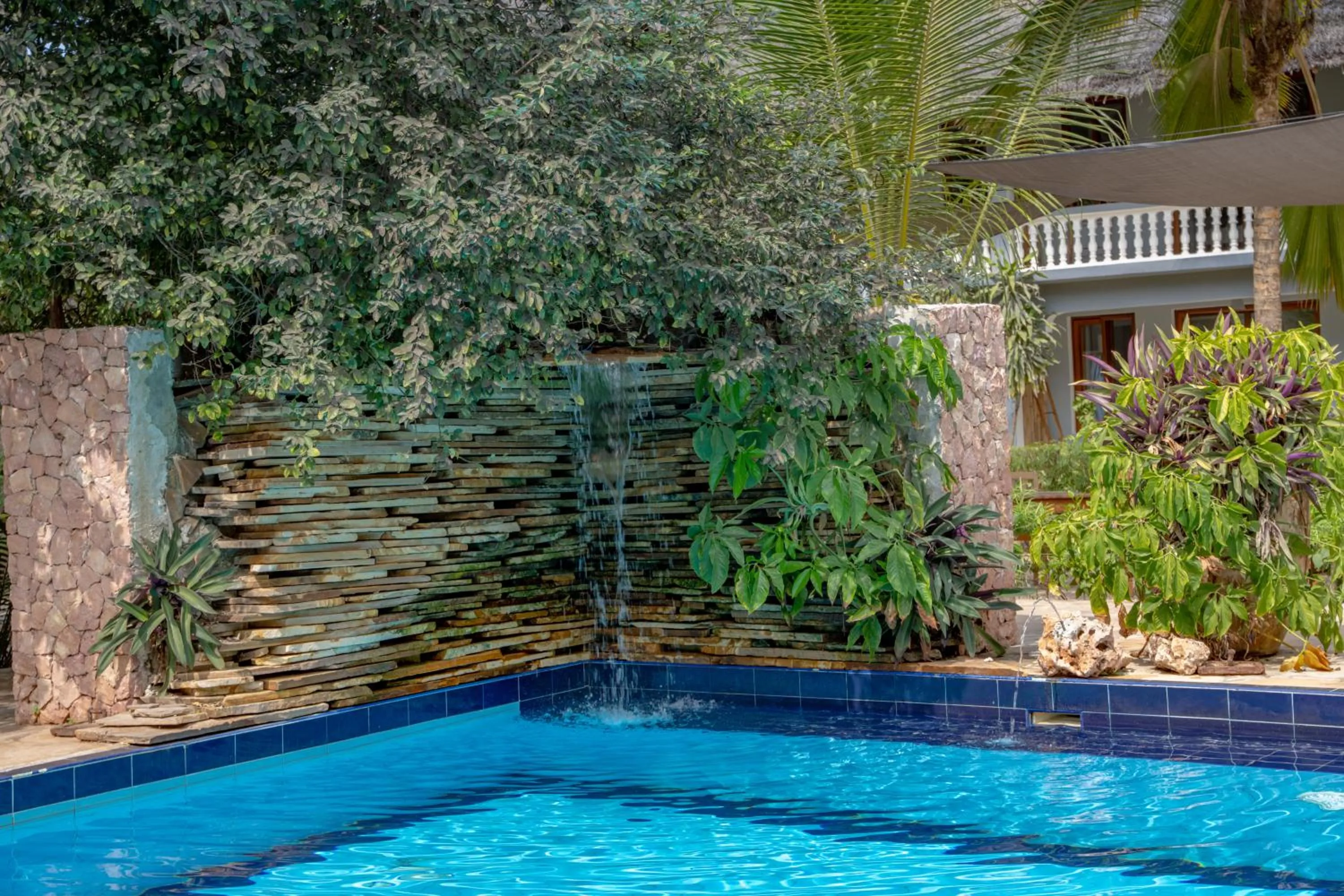 Spring in Michamvi Sunset Bay