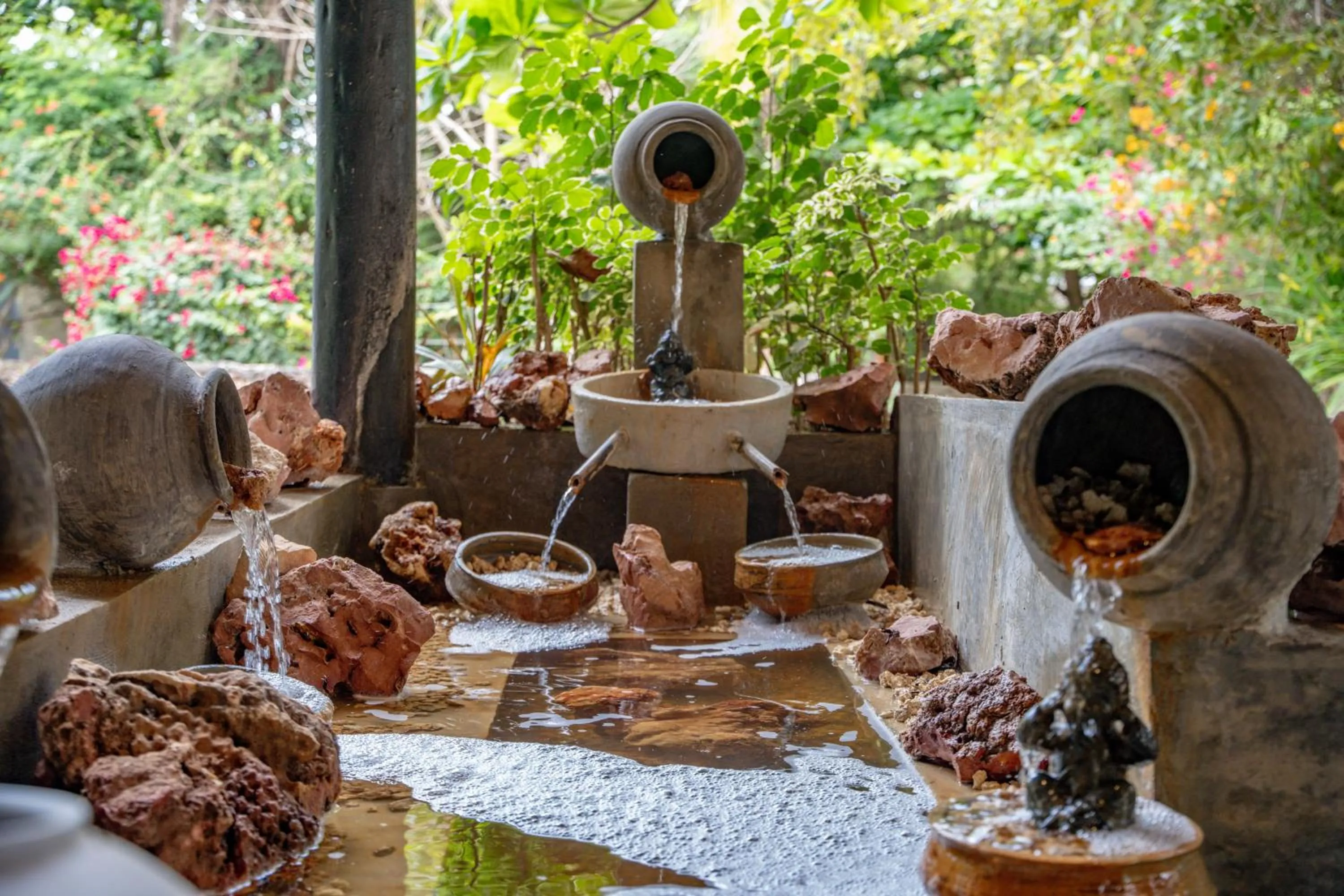 Garden in Michamvi Sunset Bay