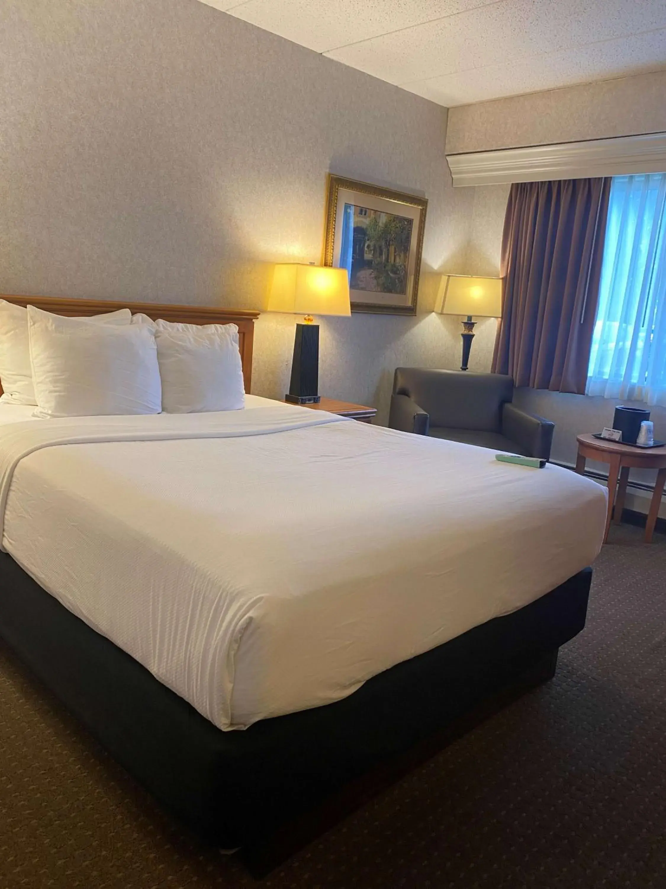 Bedroom, Bed in Best Western Plus Kelly Inn Bedroom, Bed in Best Western Plus Kelly Inn