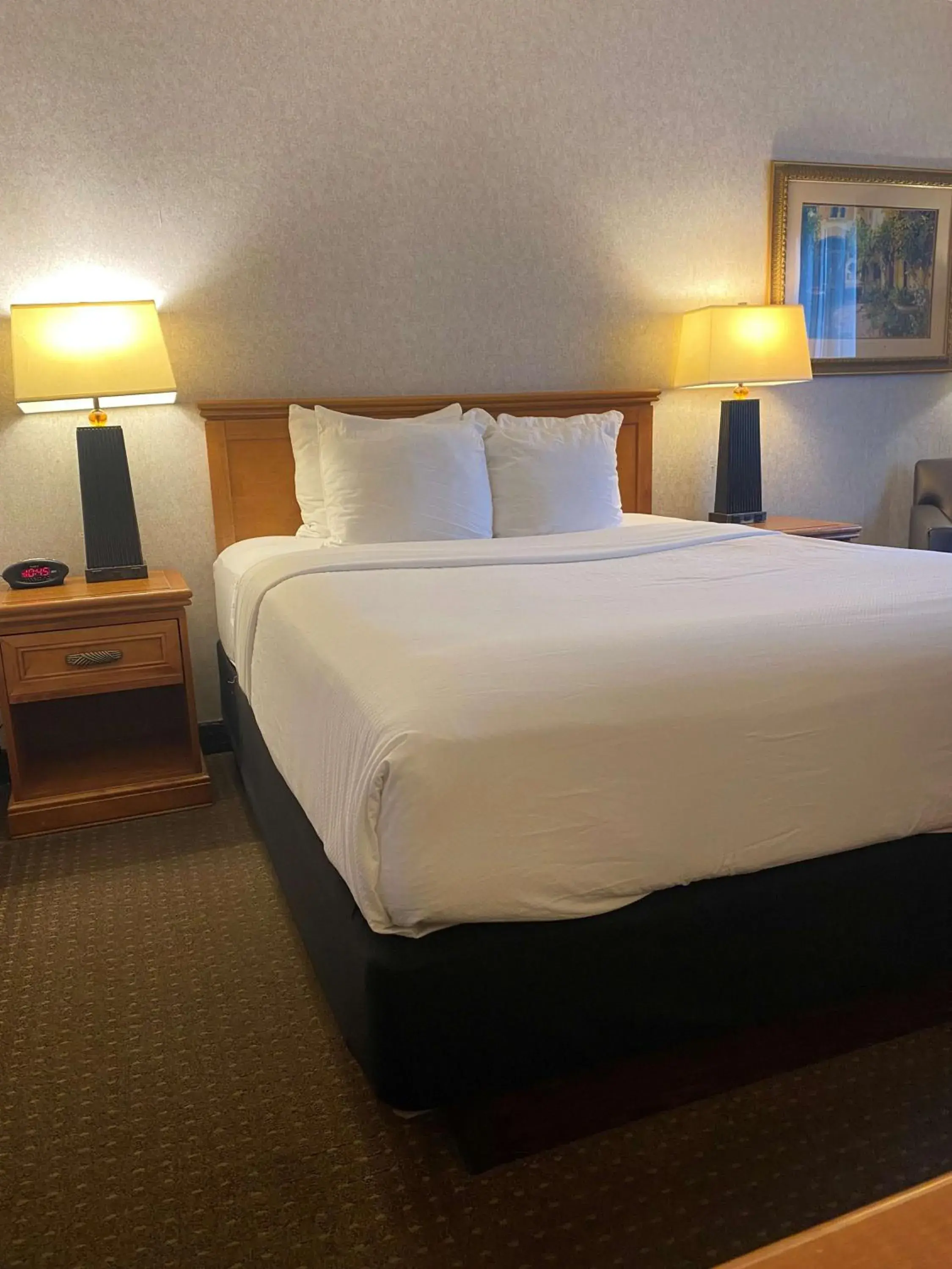 Bedroom, Bed in Best Western Plus Kelly Inn Bedroom, Bed in Best Western Plus Kelly Inn