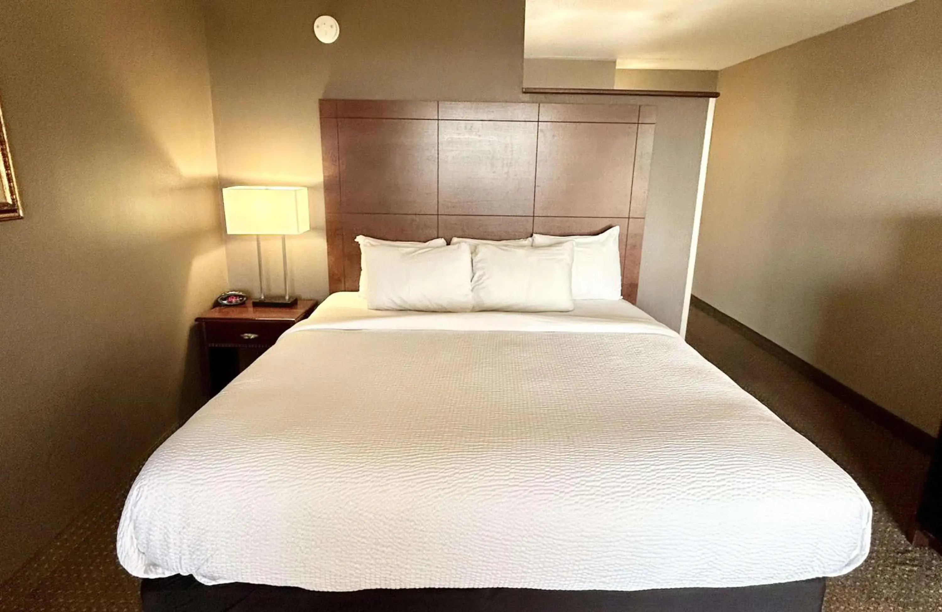 Bedroom, Bed in Best Western Plus Kelly Inn Bedroom, Bed in Best Western Plus Kelly Inn