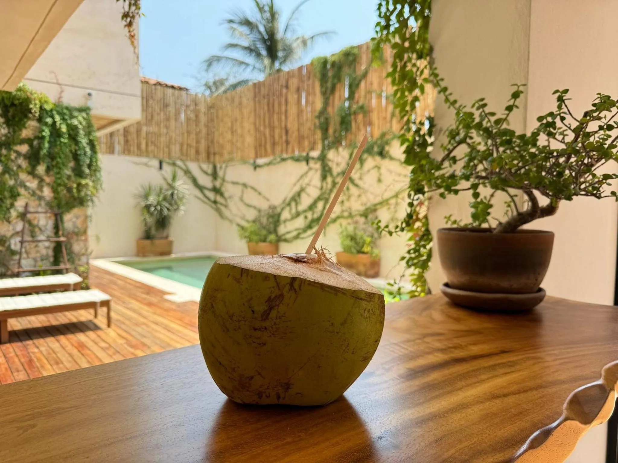 Casa Ita Surf - Adults Only