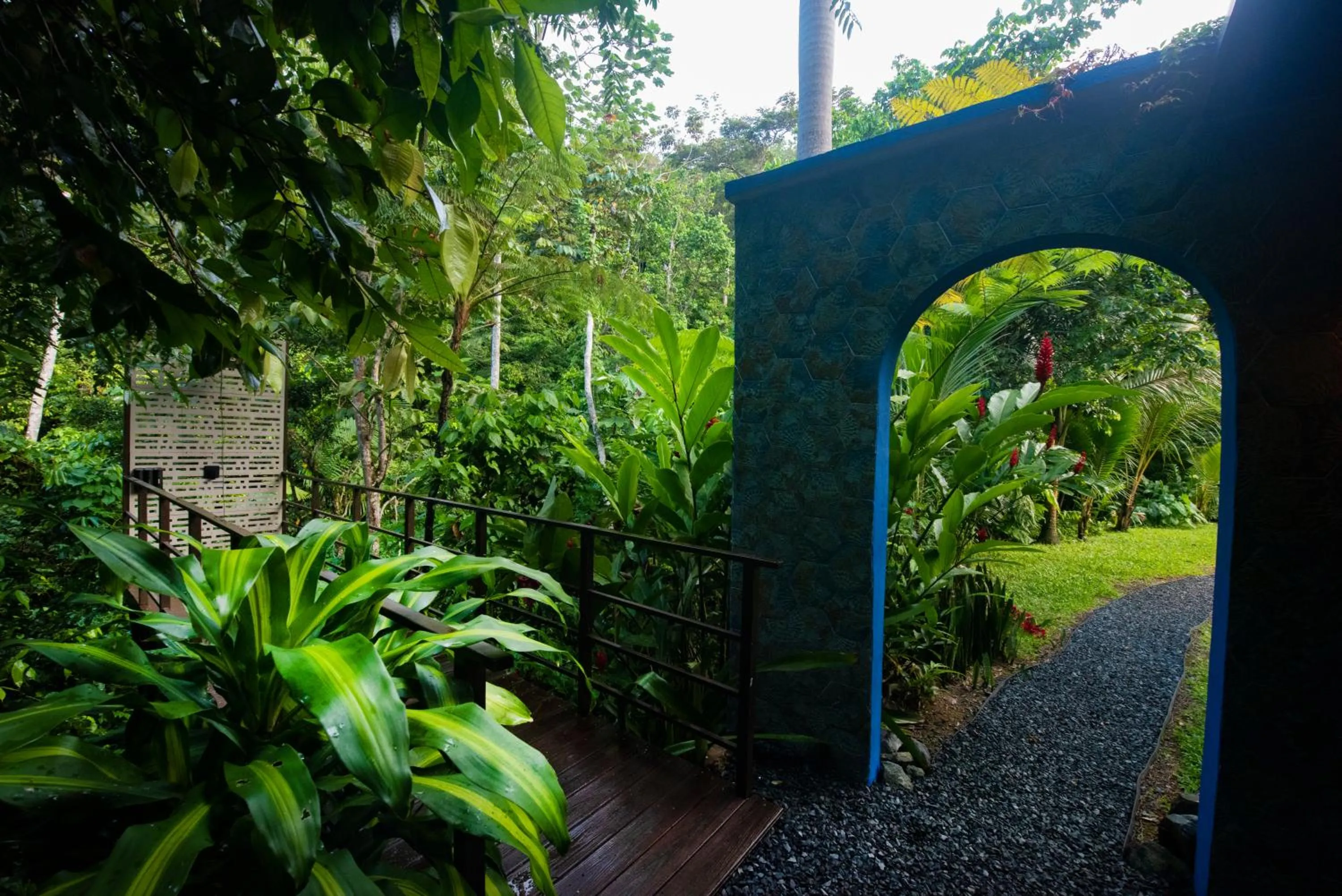 Garden in Mont Carpe Diem