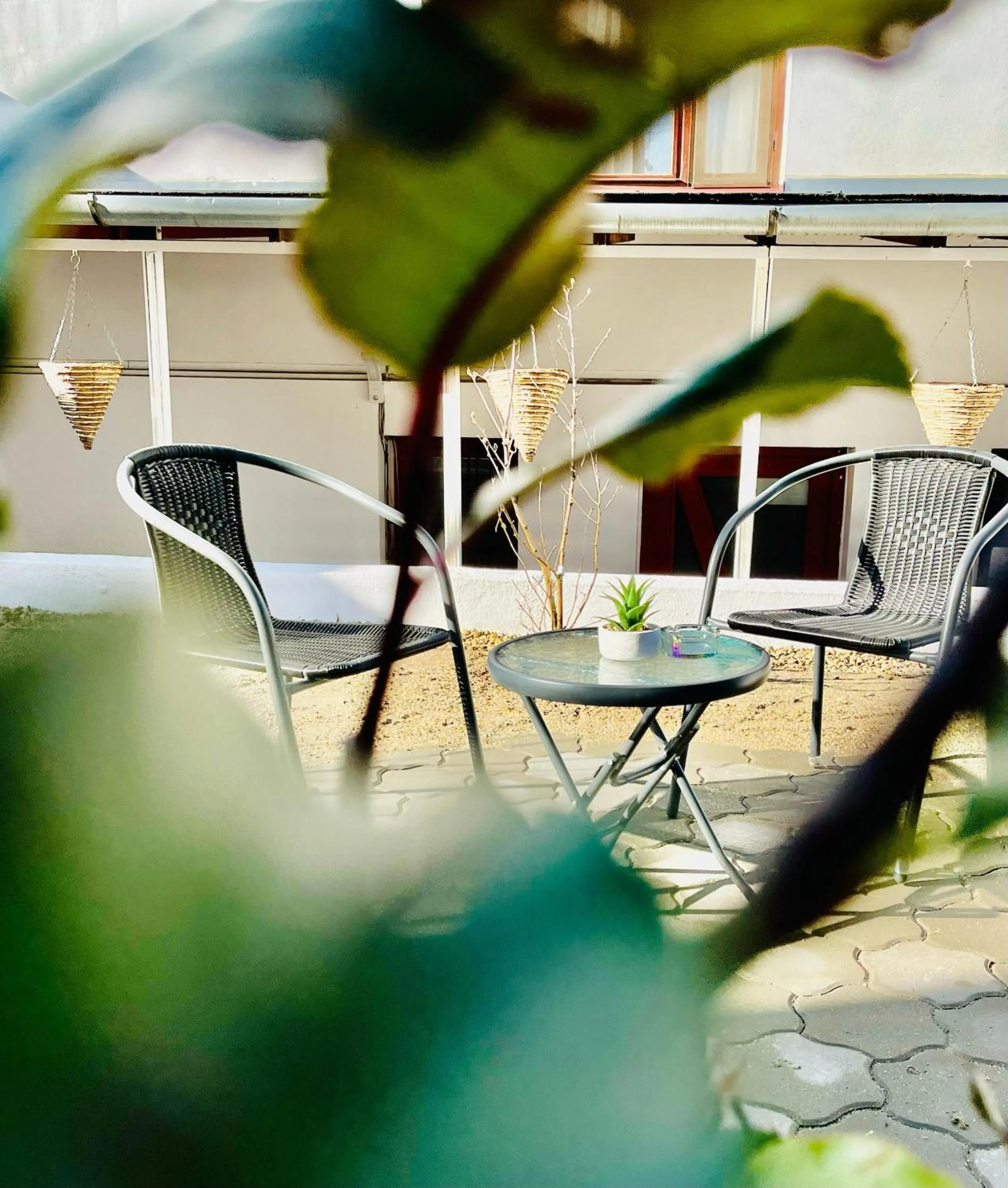 Garden in Cozy Hideout - Condo Hotel