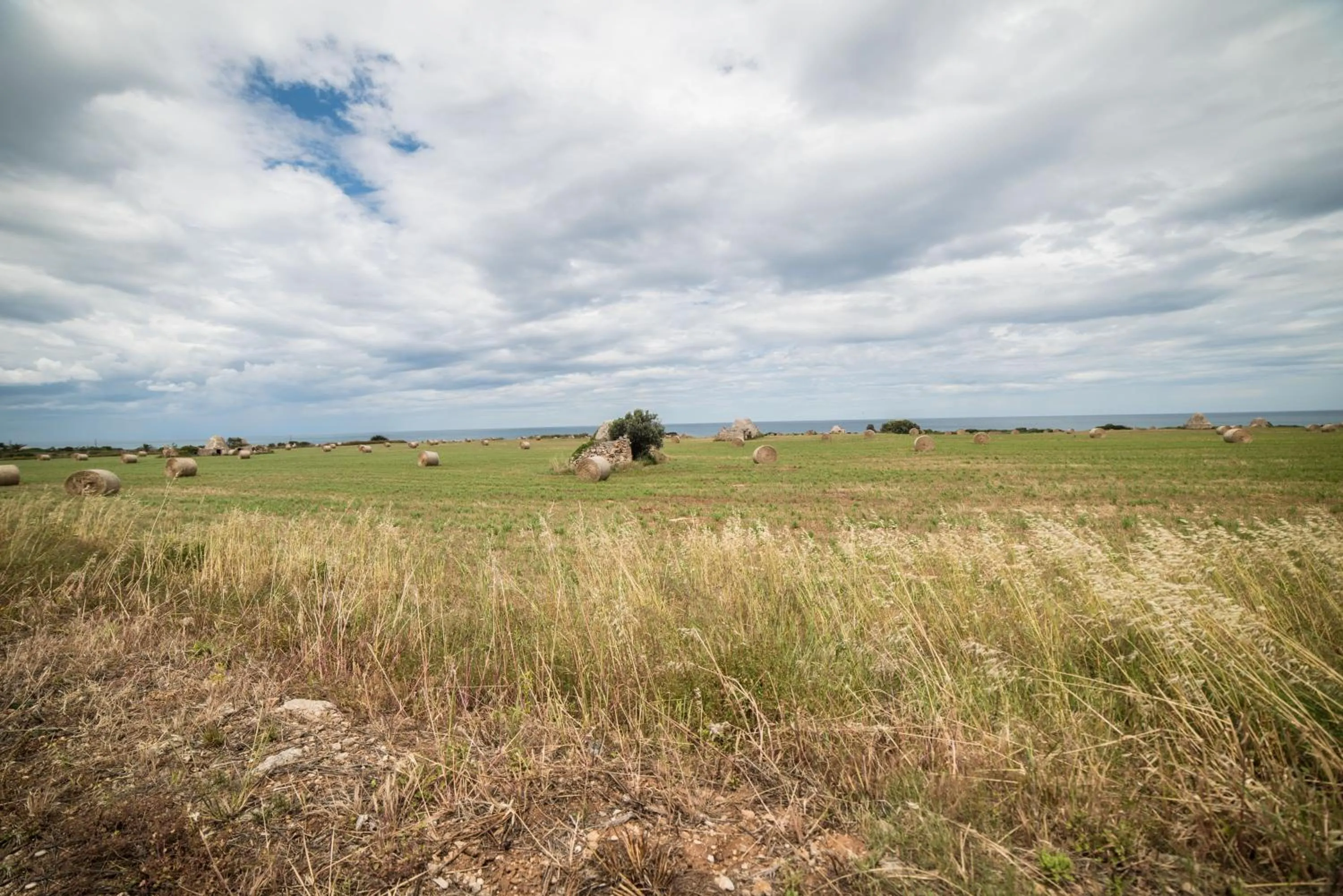 Natural landscape in Villa Lara