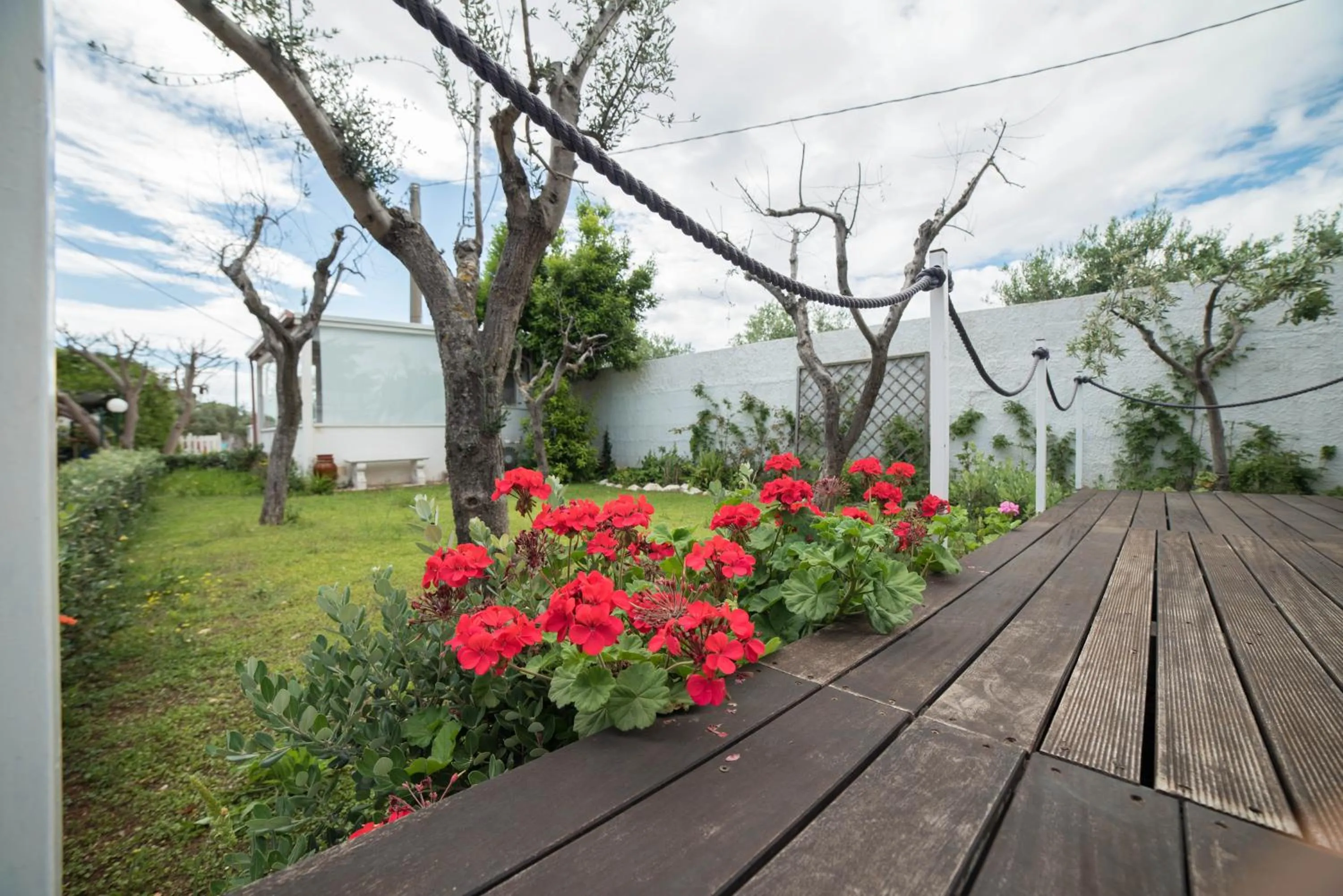 Garden in Villa Lara