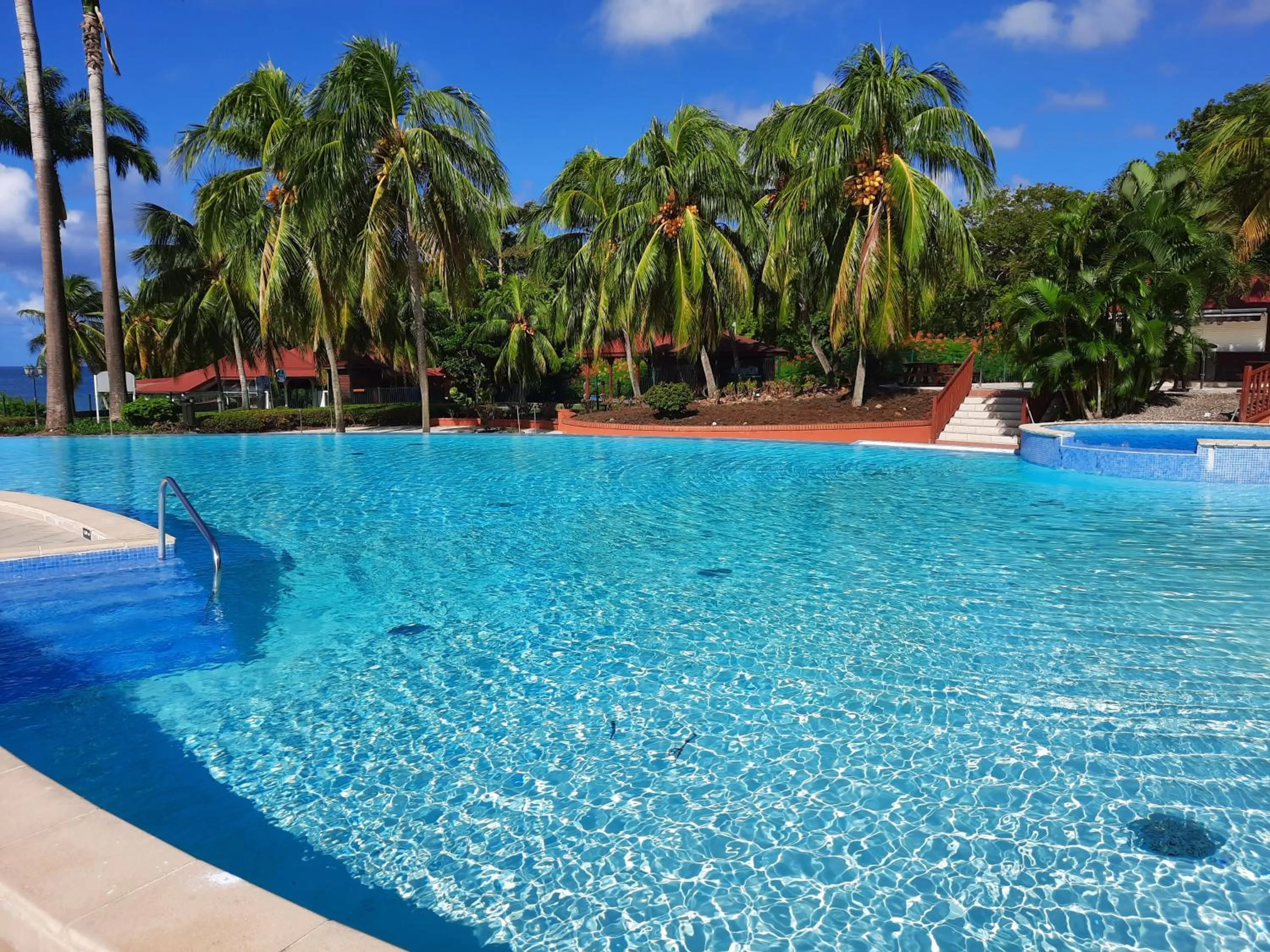 Swimming pool in Studio de rêve dans un village de vacances - Entièrement rénové 2025 - Clim rénovée 2025