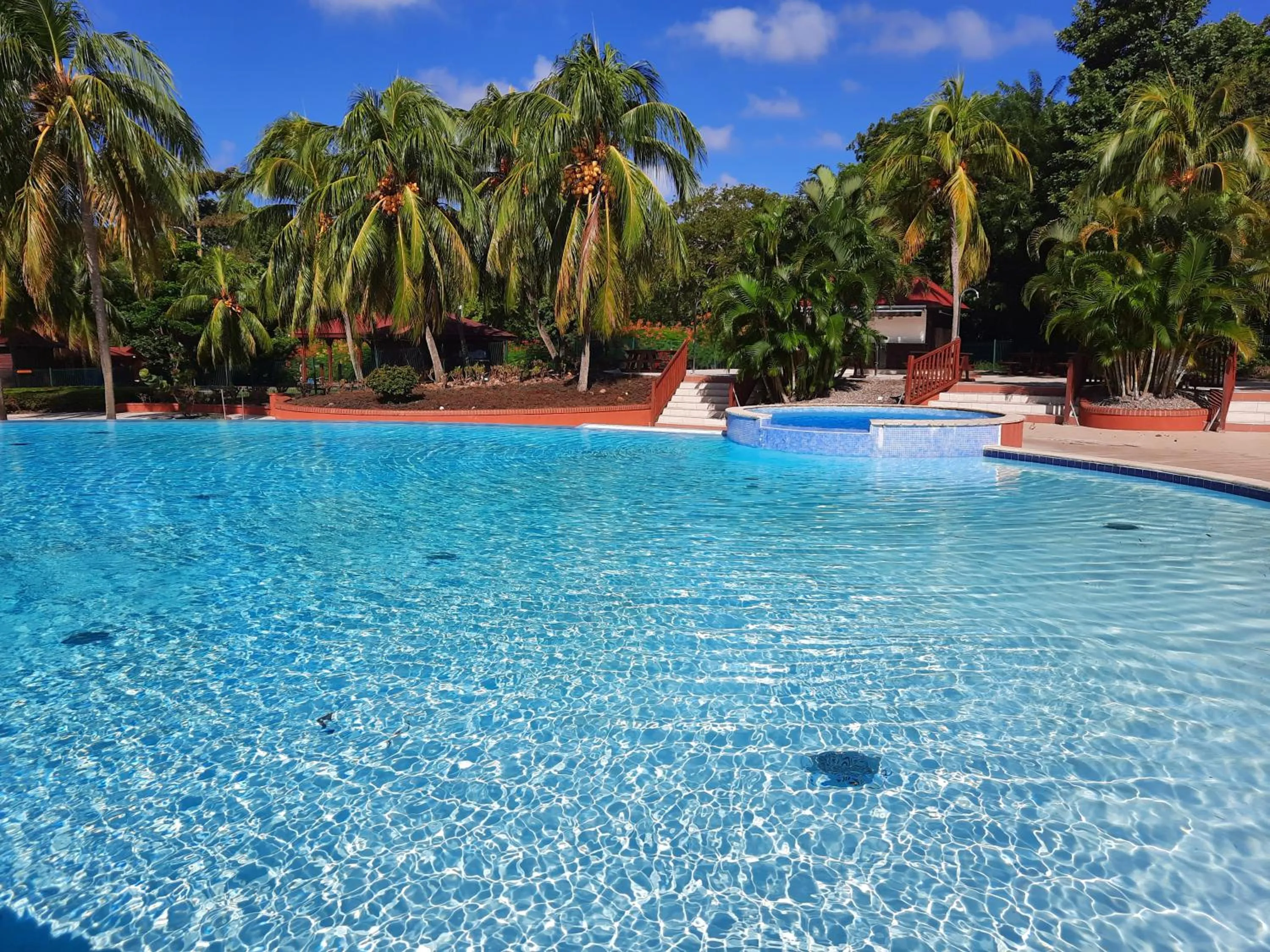 Swimming pool in Studio de rêve dans un village de vacances - Entièrement rénové 2025 - Clim rénovée 2025