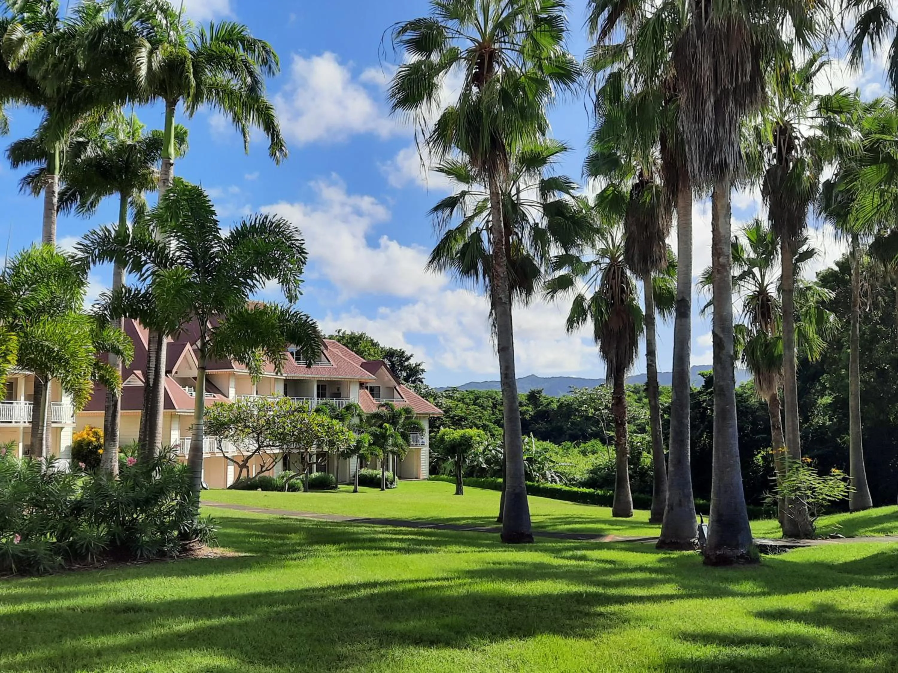 Garden in Studio de rêve dans un village de vacances - Entièrement rénové 2025 - Clim rénovée 2025