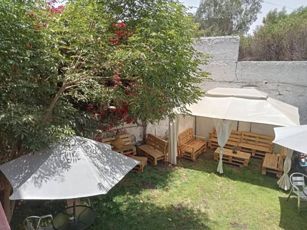 Garden in Hotel Juan de la Torre