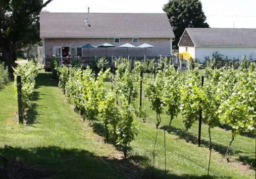 Garden in The Langworthy Inn & Winery