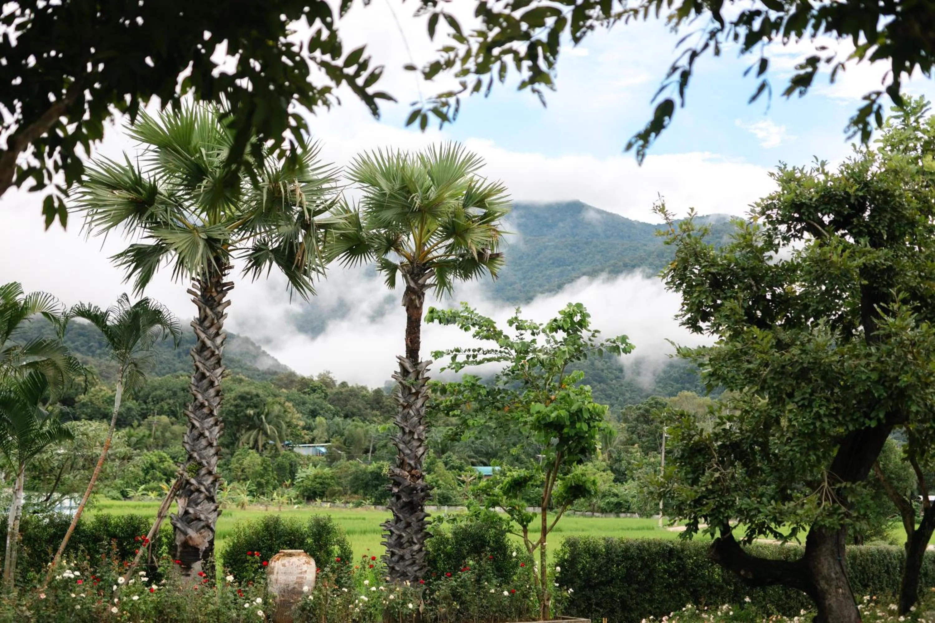 Garden in Saksila Resort