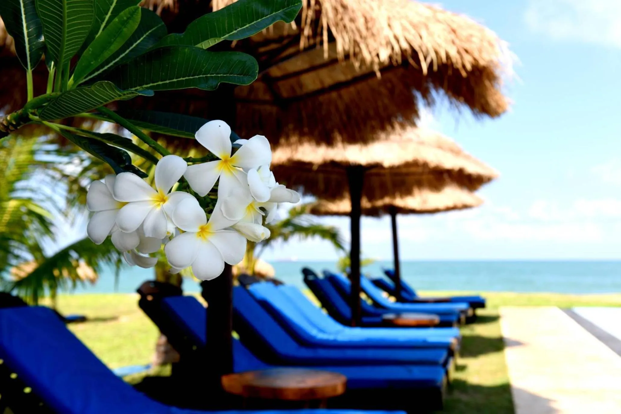 Day in Palagama Beach Resort