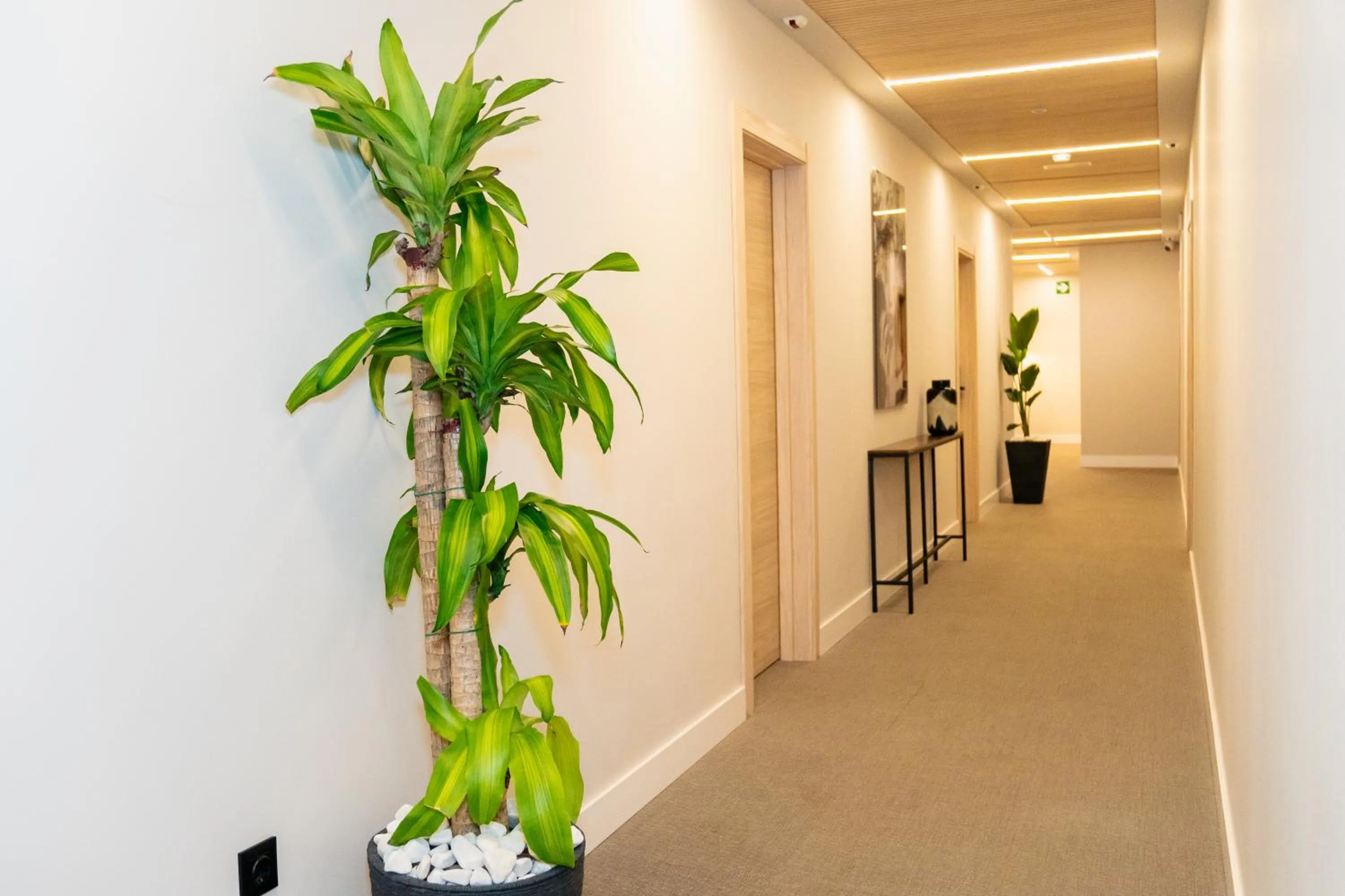 Area and facilities in Dorm4You Arena 2