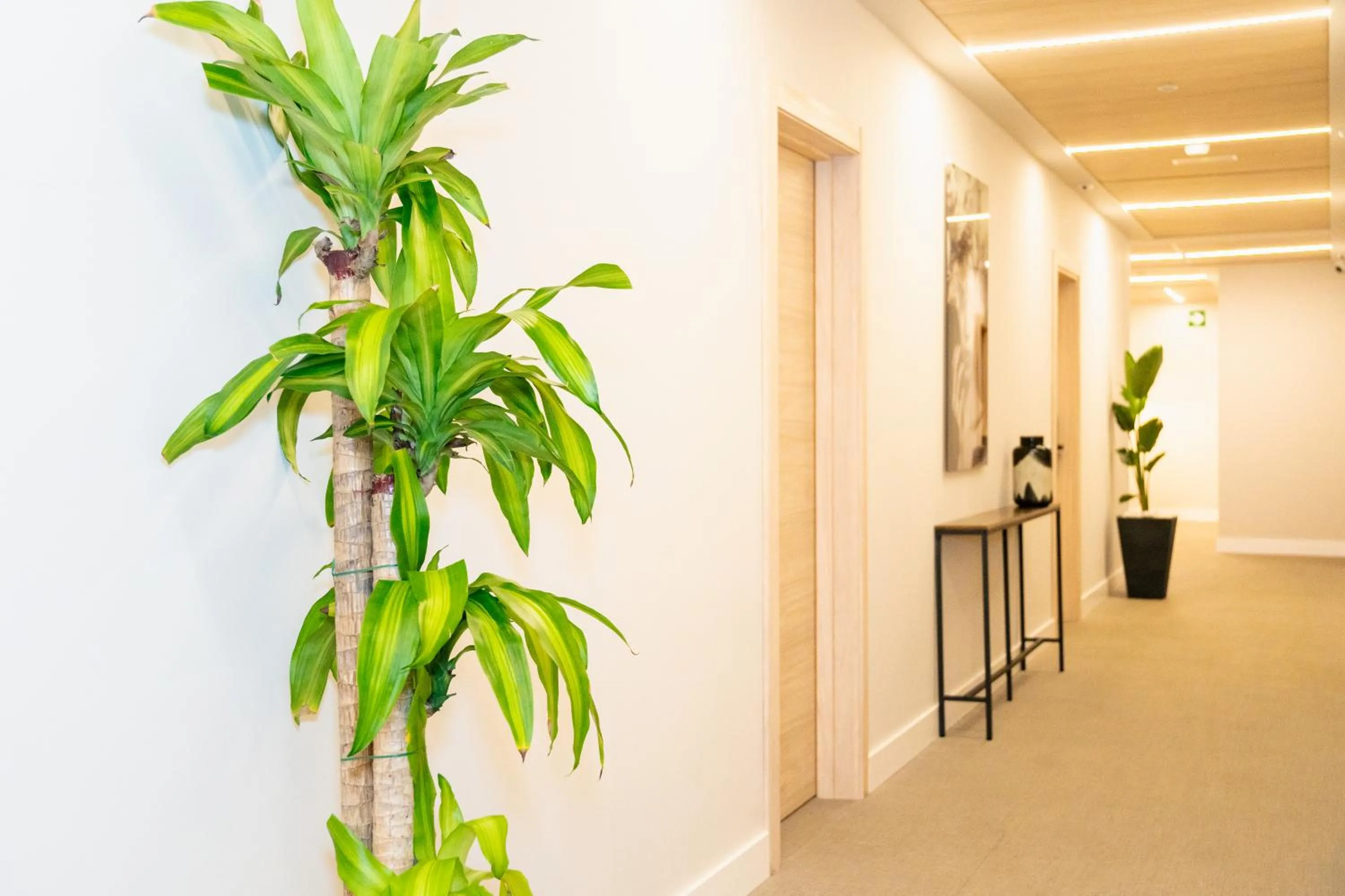 Decorative detail in Dorm4You Arena 2