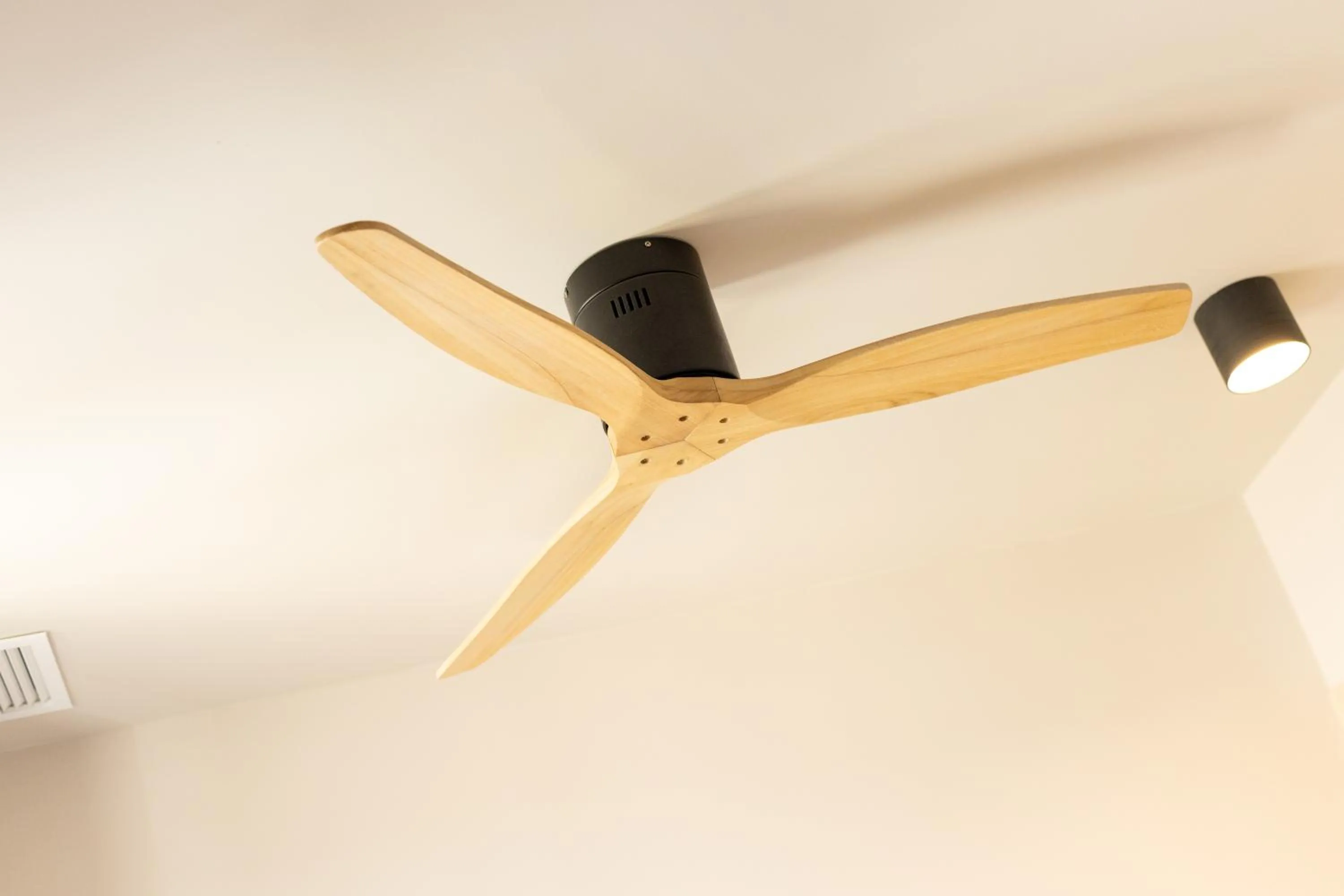 Other in Dorm4You Arena 2