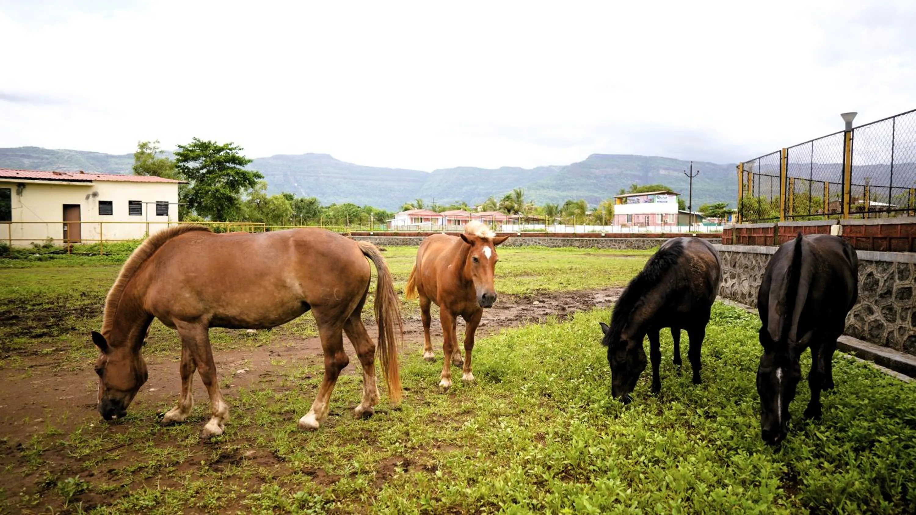 Pegasus Lifestyle Resort Karjat