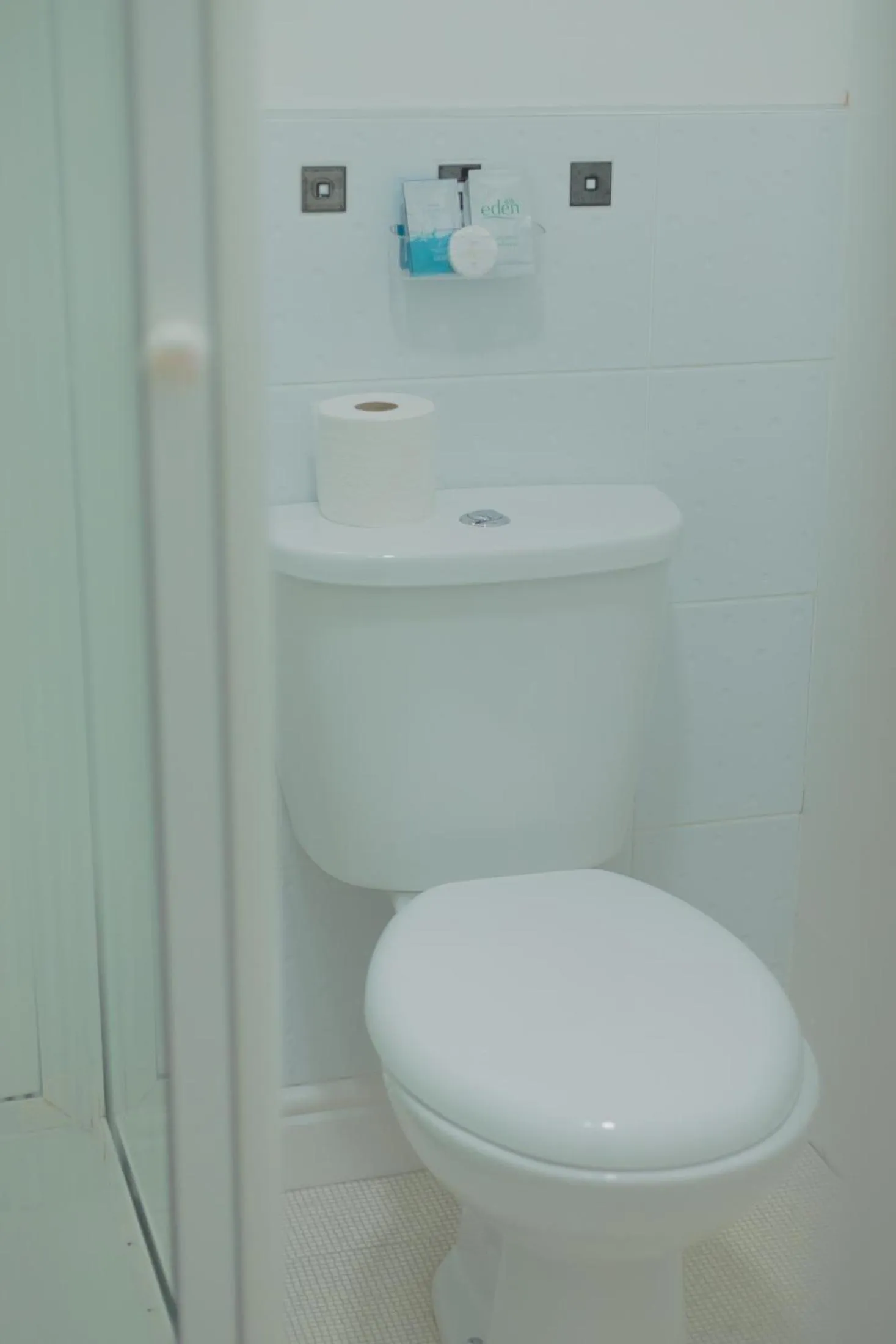 Toilet in The Beechwood