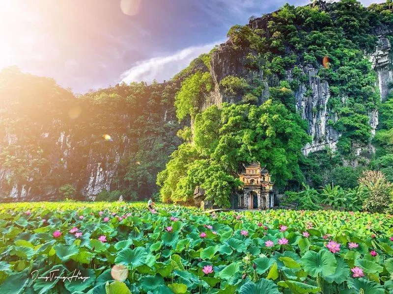 Natural landscape in Yen Nhi Hotel Ninh Binh