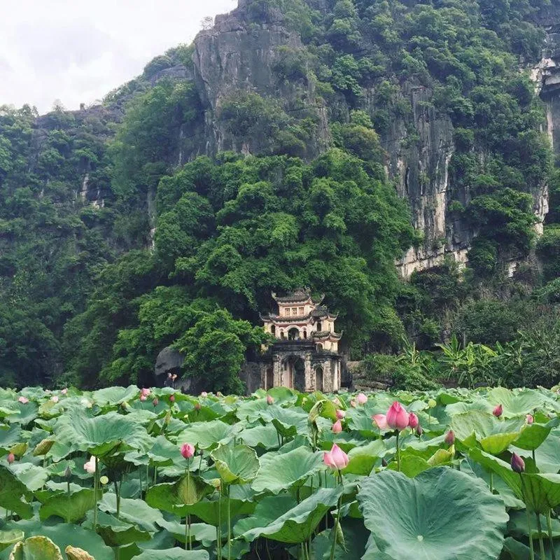 Natural landscape in Yen Nhi Hotel Ninh Binh