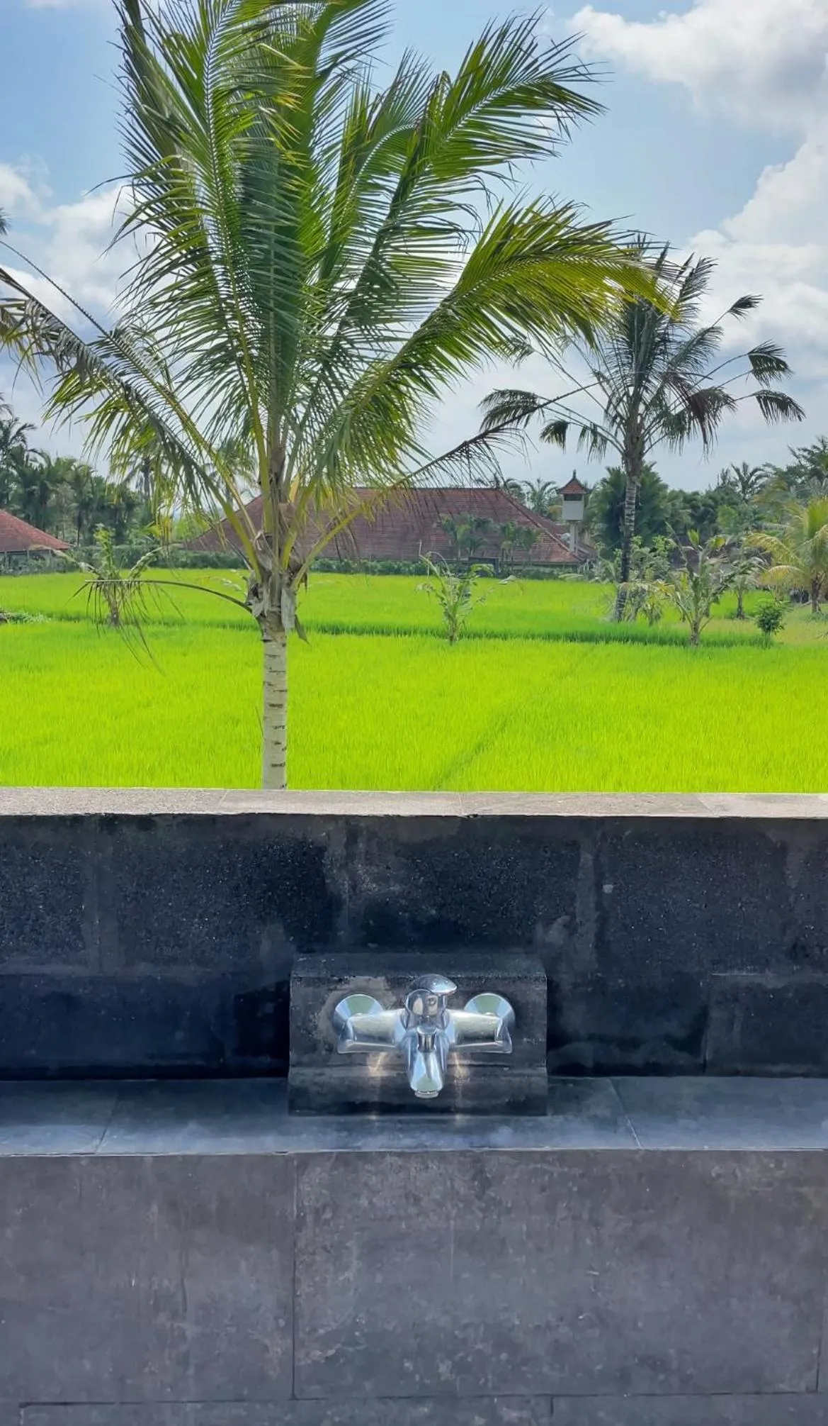 Serendipity - Villa Kemuning