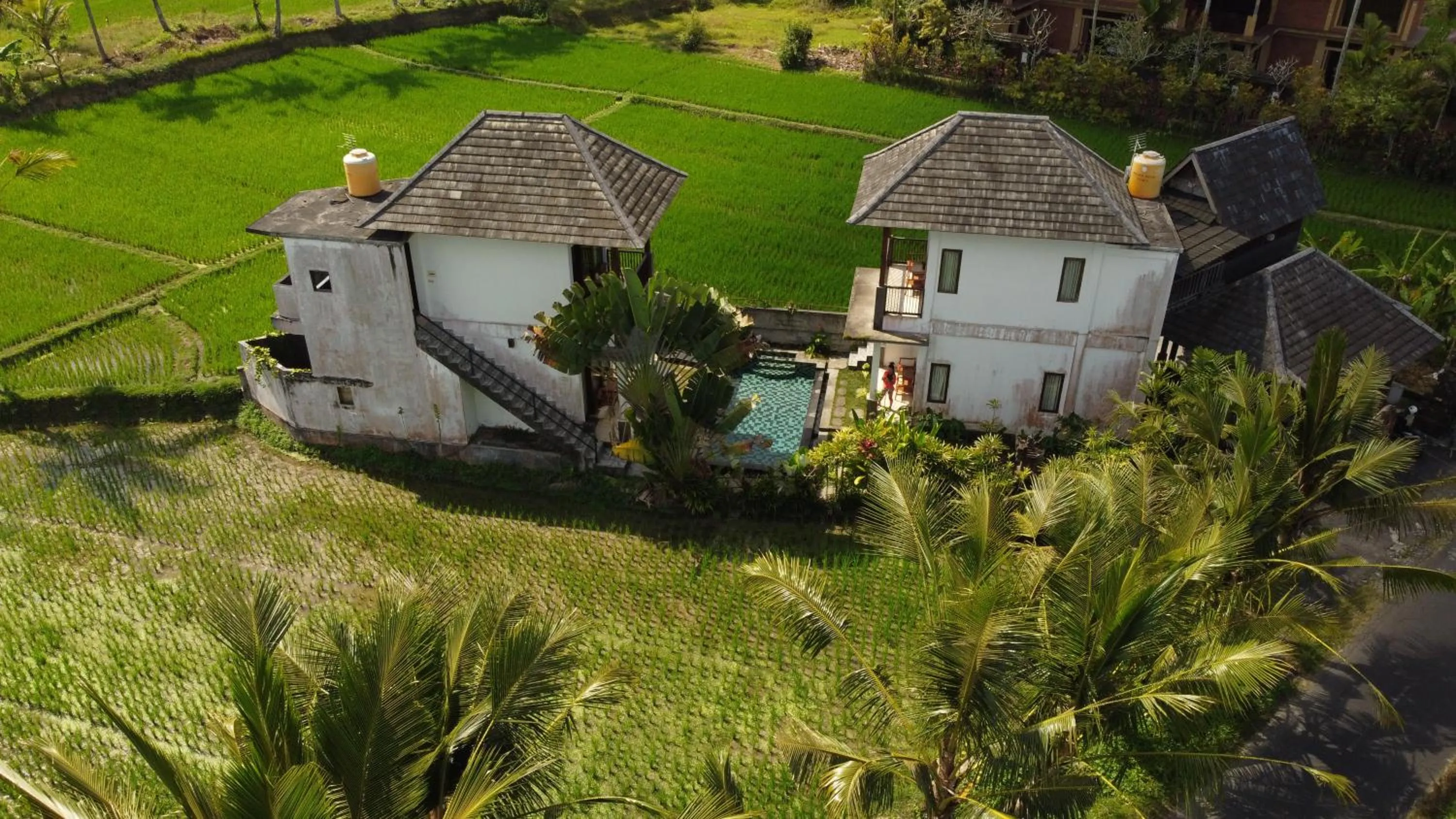 Serendipity - Villa Kemuning