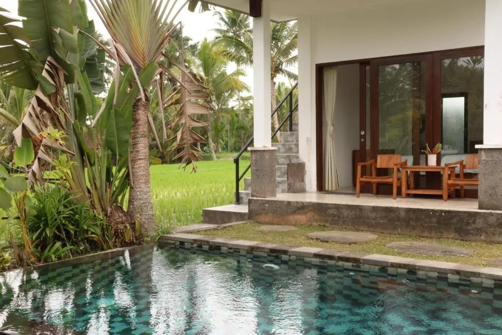 Swimming pool in Serendipity - Villa Kemuning