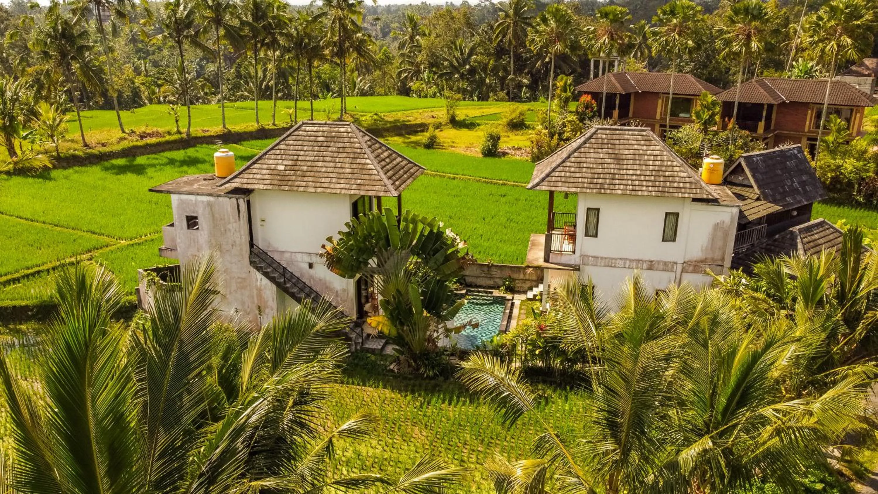 Serendipity - Villa Kemuning