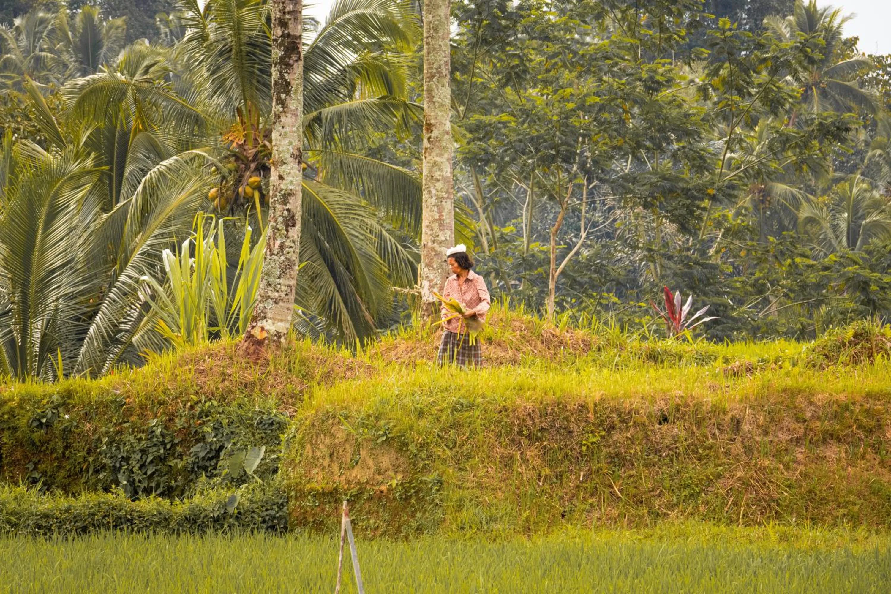 Serendipity - Villa Kemuning