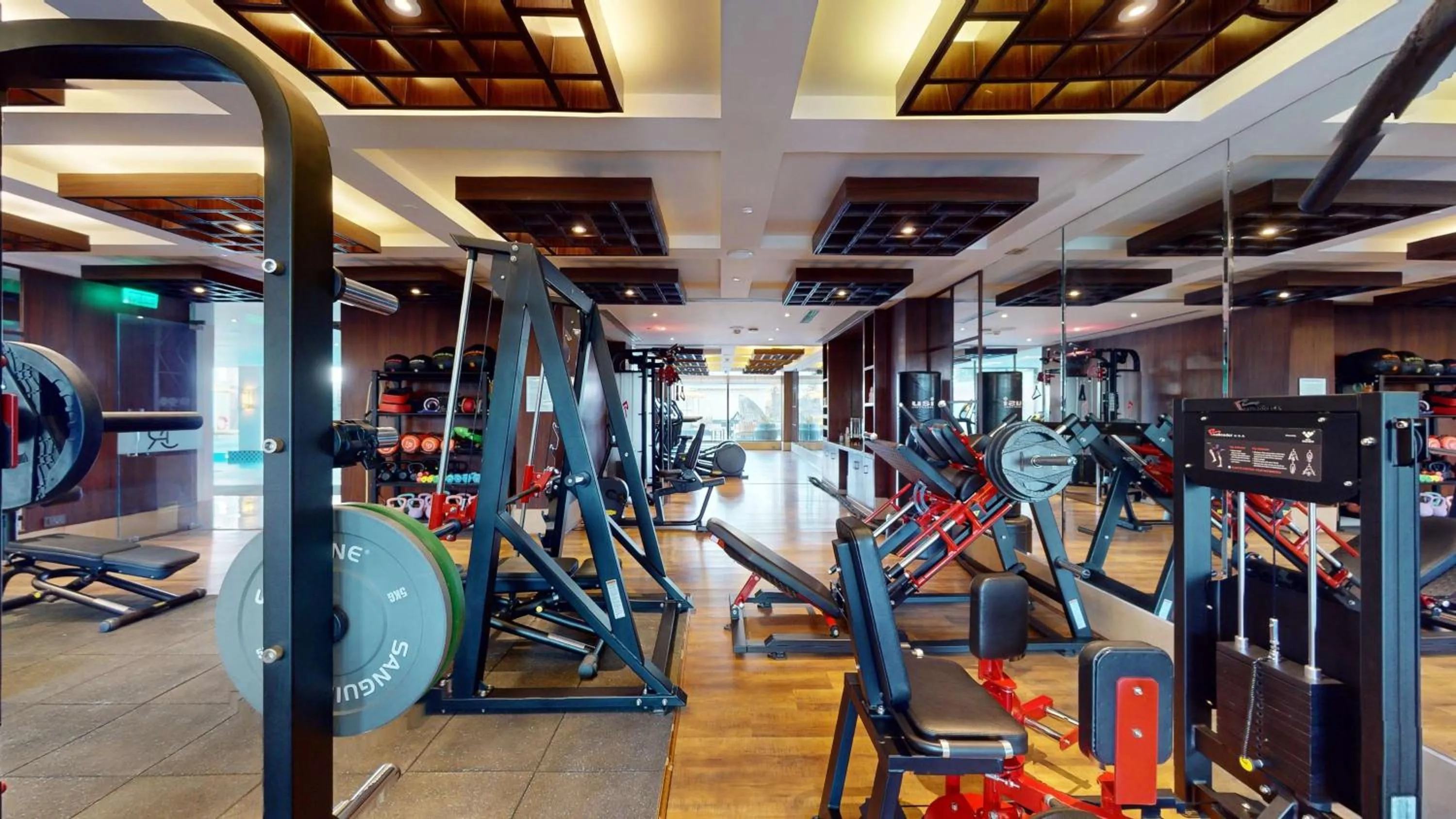 Fitness centre/facilities in Radisson Collection Hotel & Spa, Riverfront Srinagar