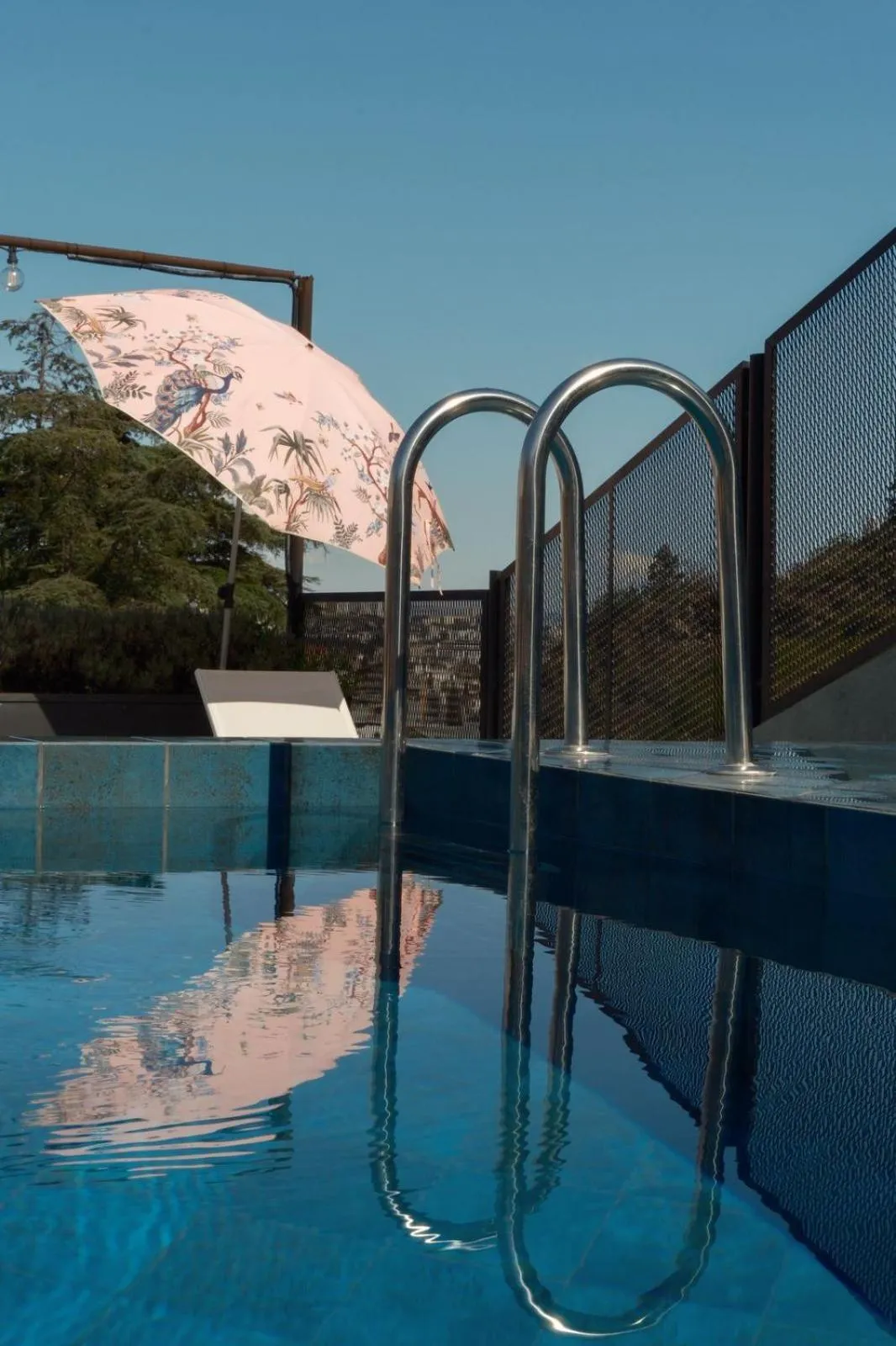 Day in Margot Sololaki