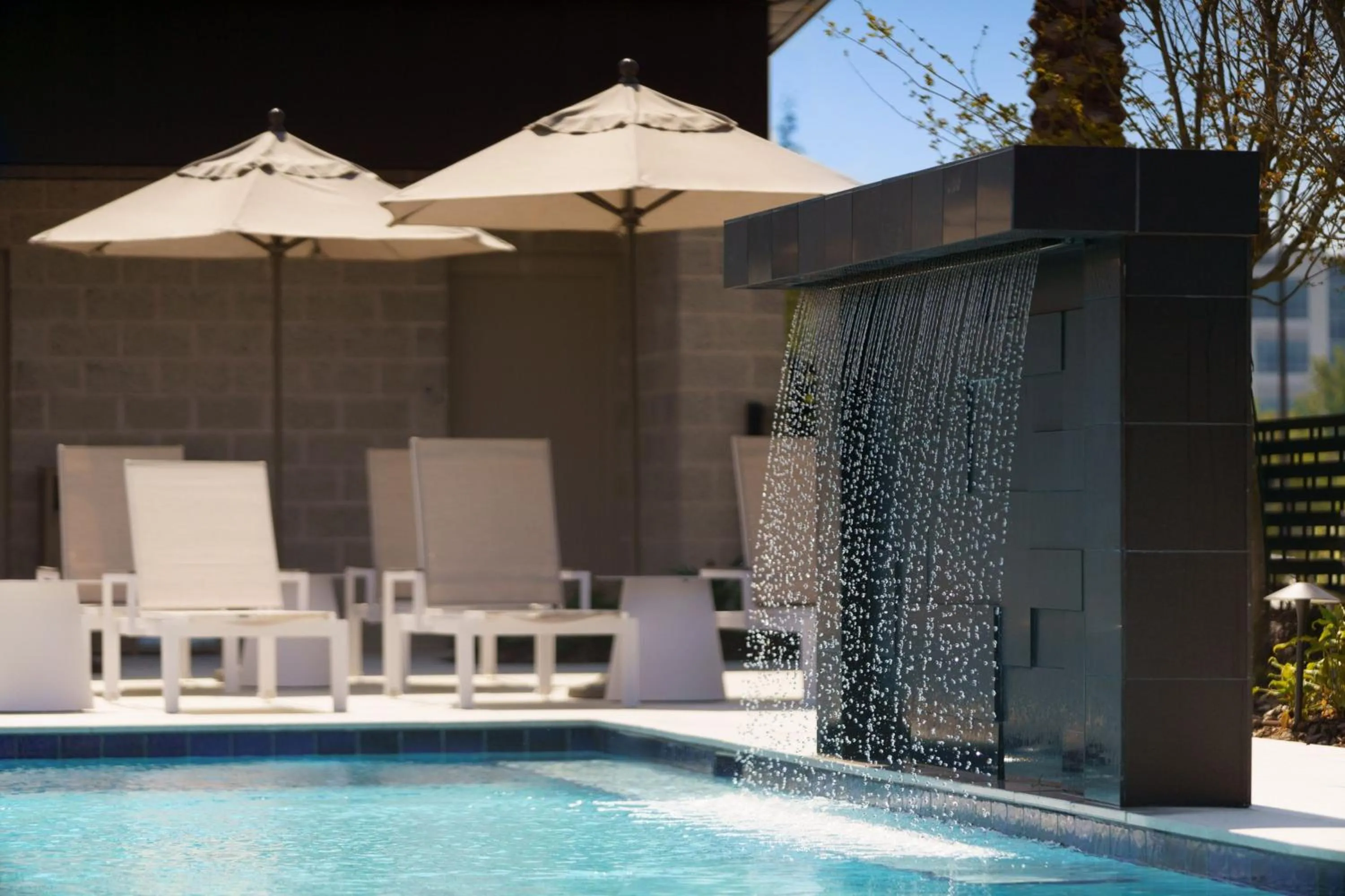 Swimming pool in AC Hotel by Marriott Jacksonville St Johns Town Center