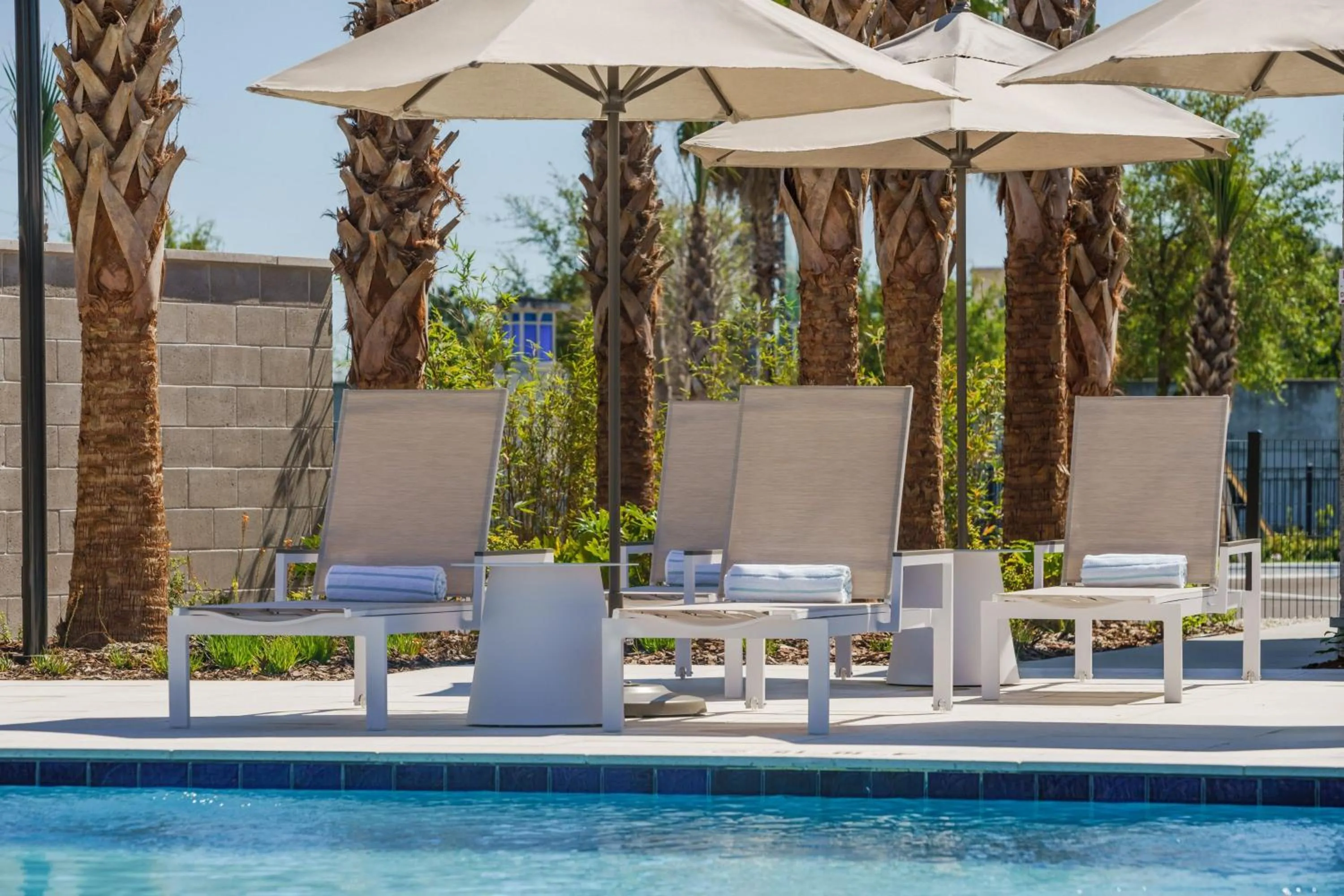 Swimming pool in AC Hotel by Marriott Jacksonville St Johns Town Center