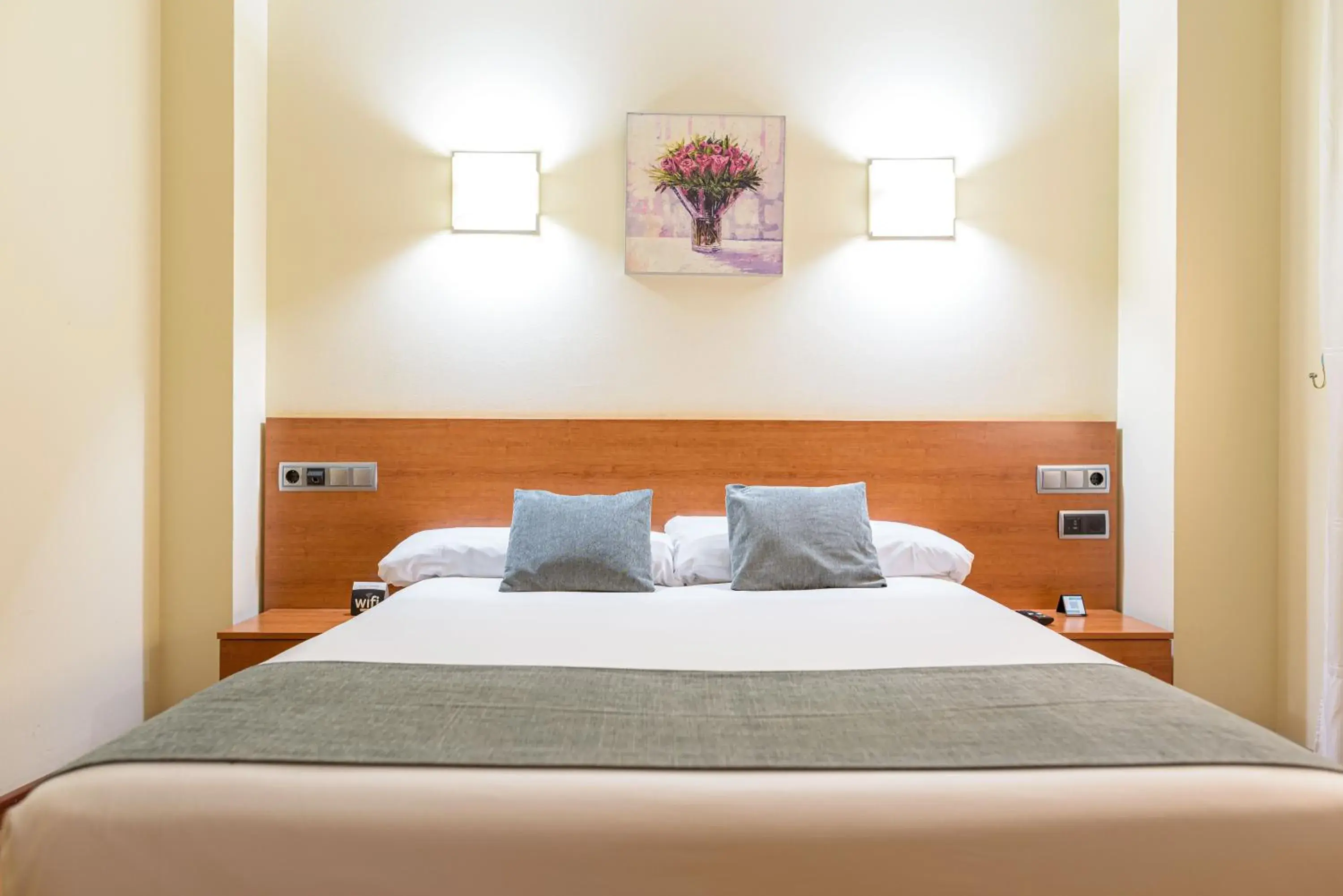 Double Room in Alda Plaza Mayor Toro Double Room in Alda Plaza Mayor Toro