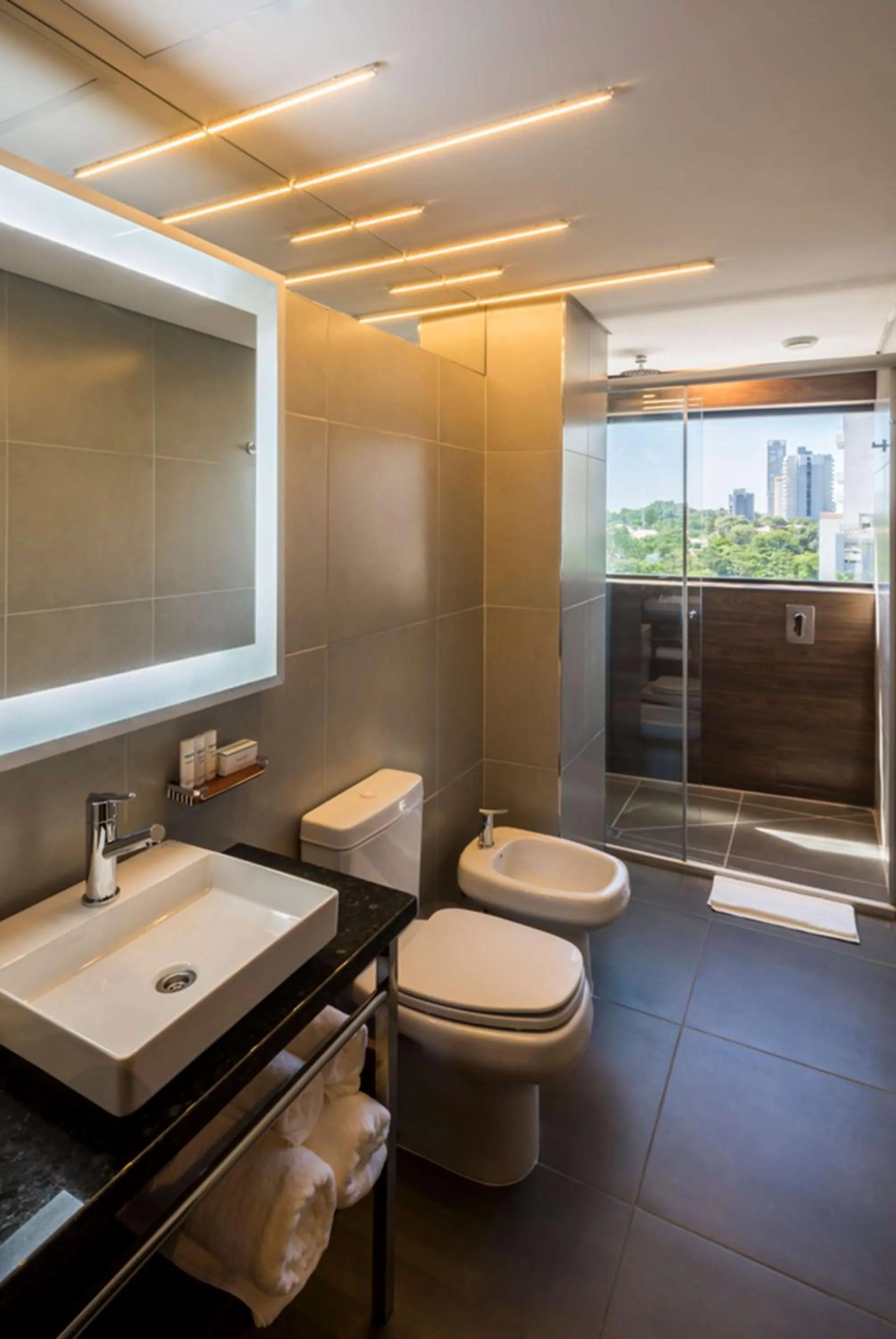 Bathroom in Hilton Garden Inn Asuncion Aviadores Del Chaco