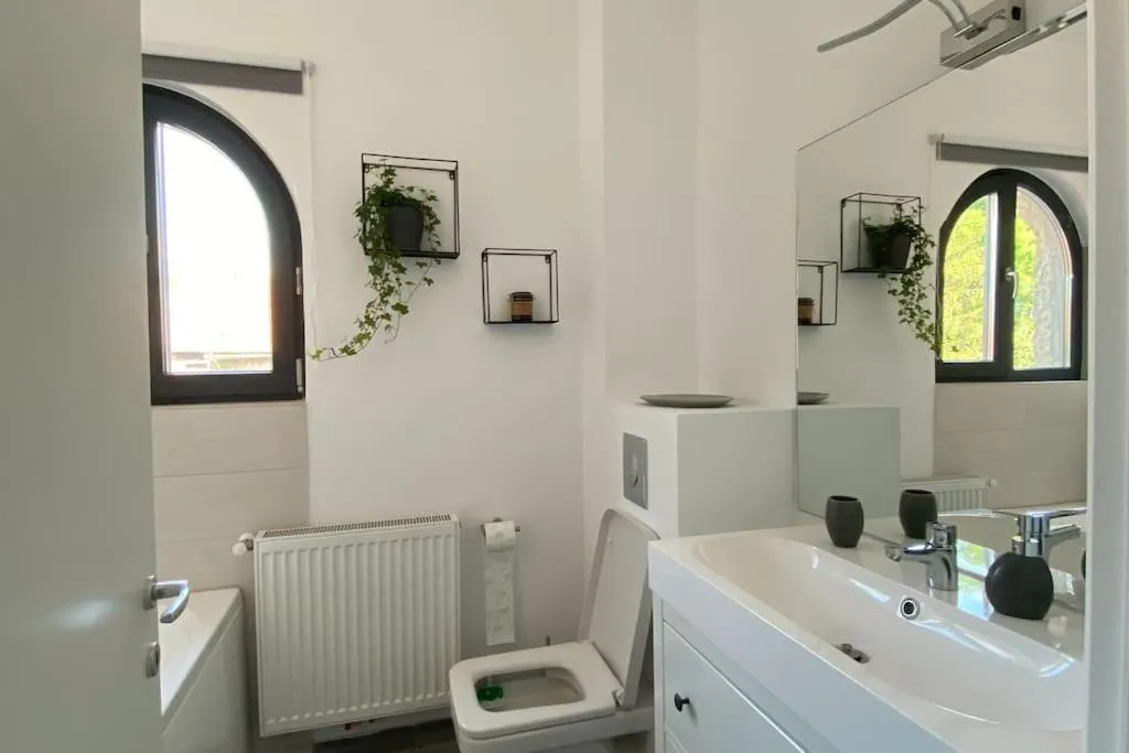 Loft Villa Floreasca