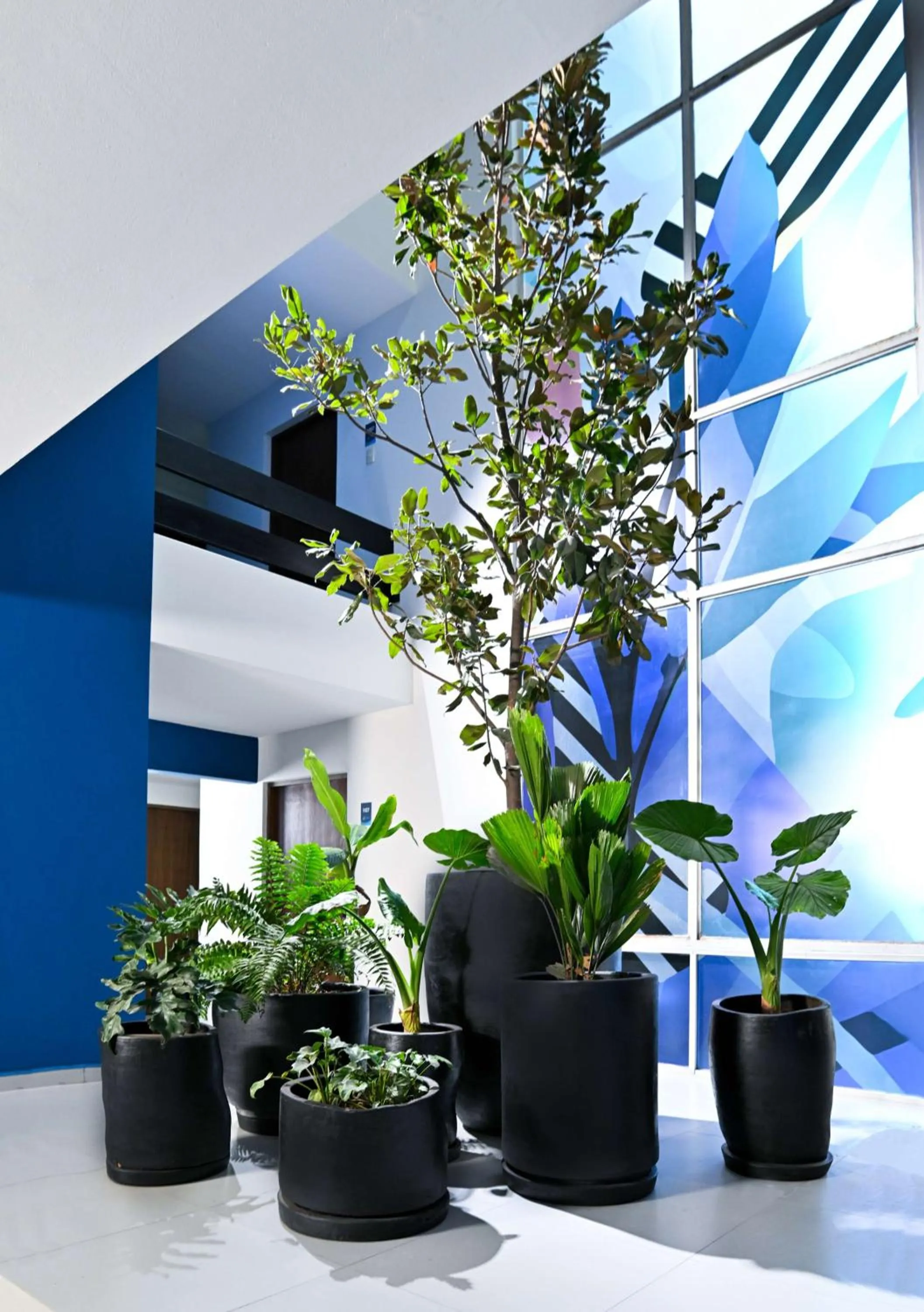 Lobby or reception in Vista Express Guadalajara Expo SureStay Collection by BW